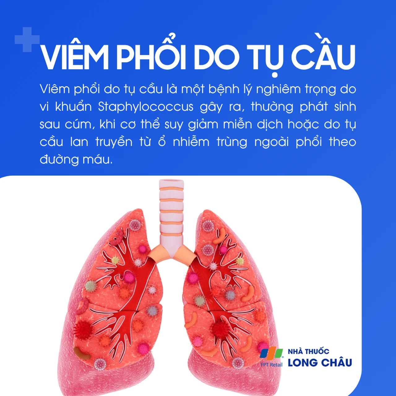 Viêm phổi do tụ cầu 1
