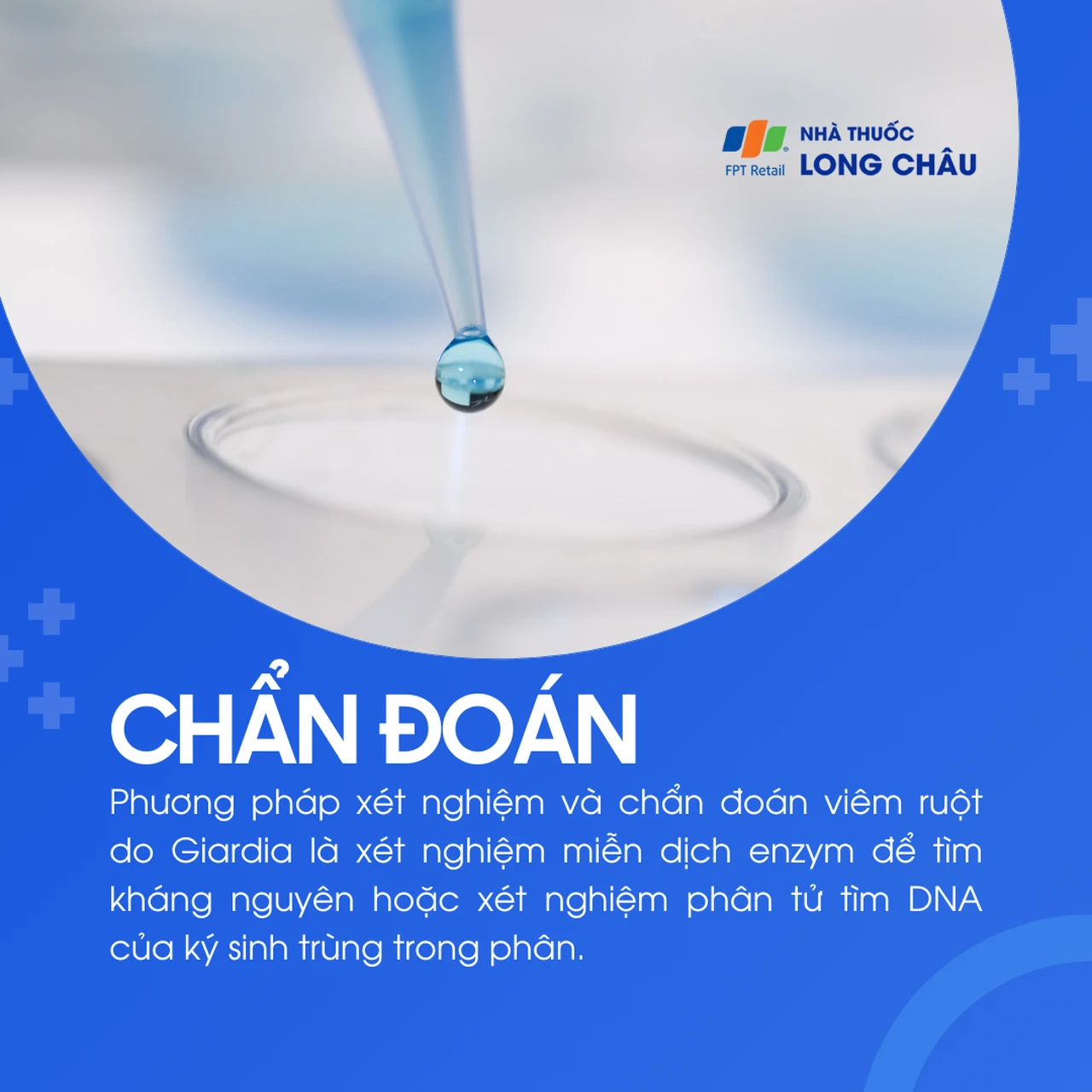 Viêm ruột do Giardia 5