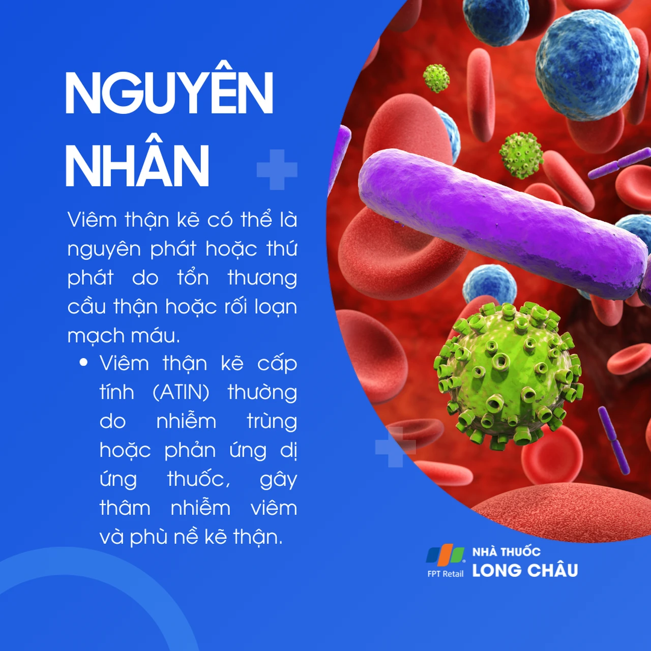 Viêm thận kẽ 4