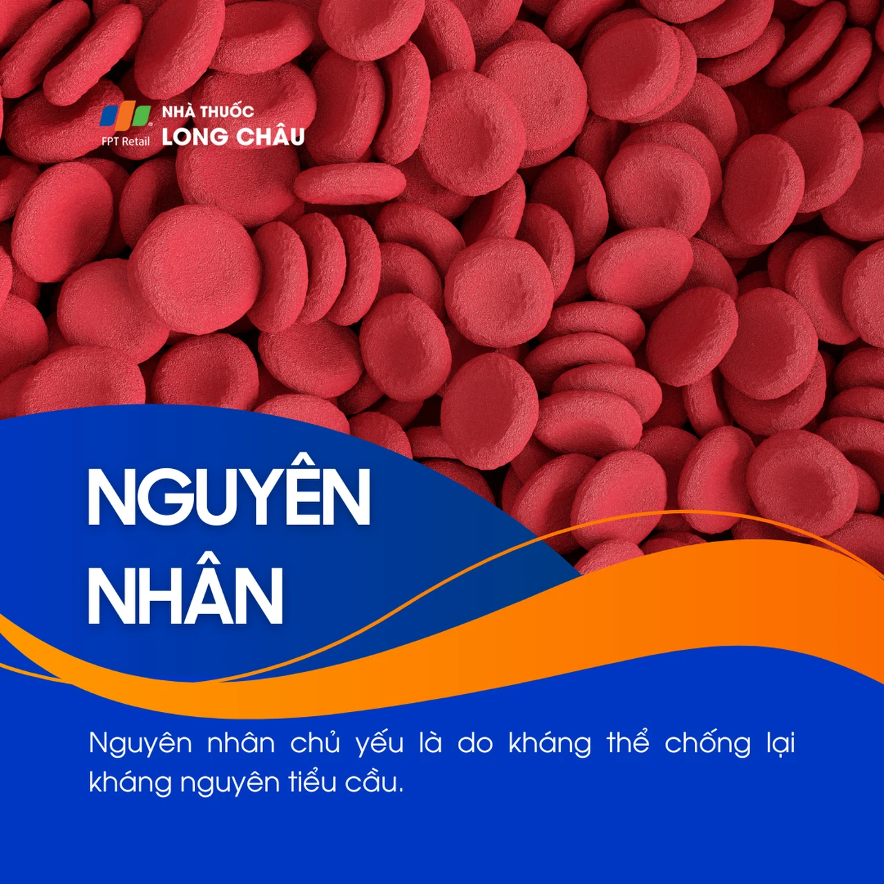 Xuất huyết giảm tiểu cầu 1