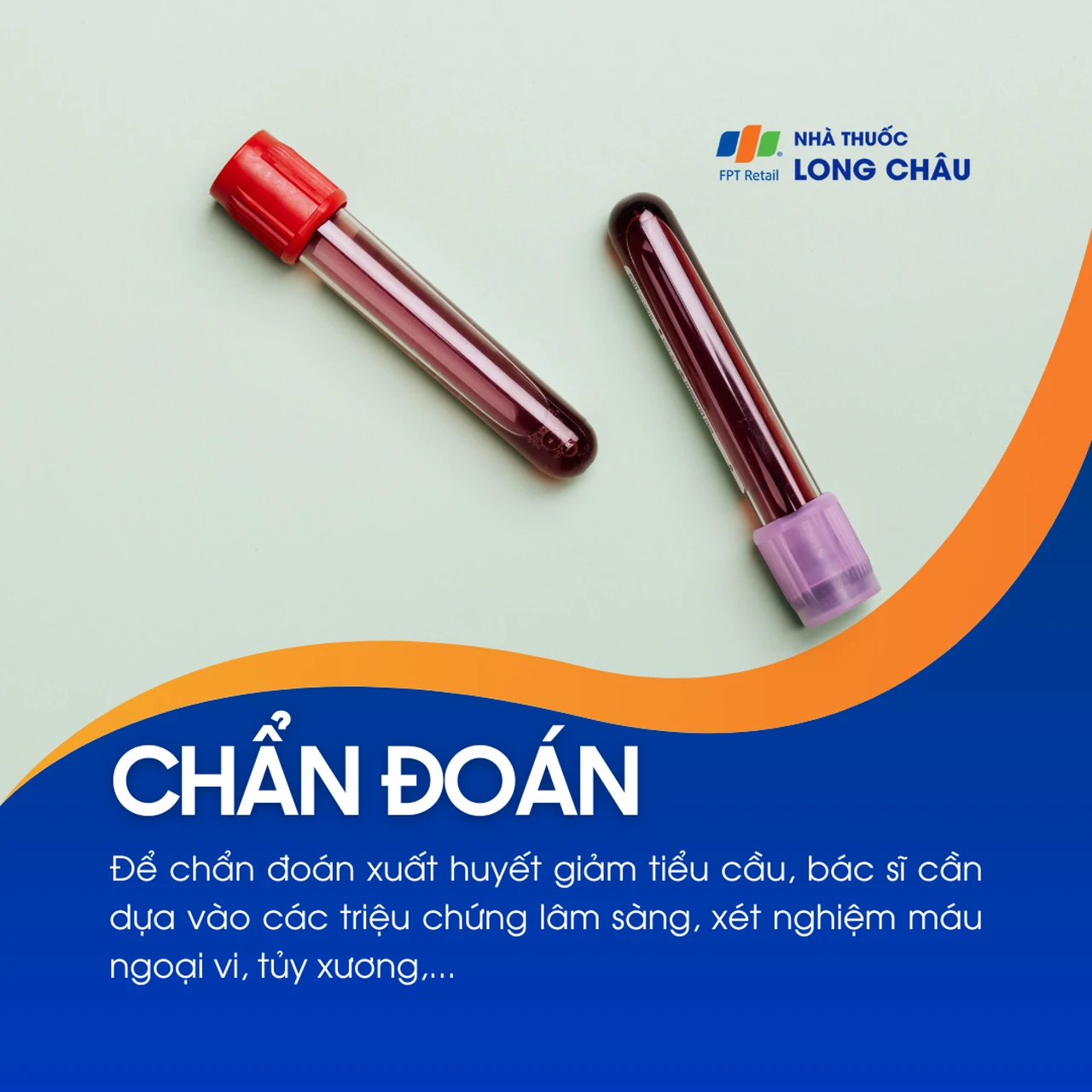 Xuất huyết giảm tiểu cầu 3