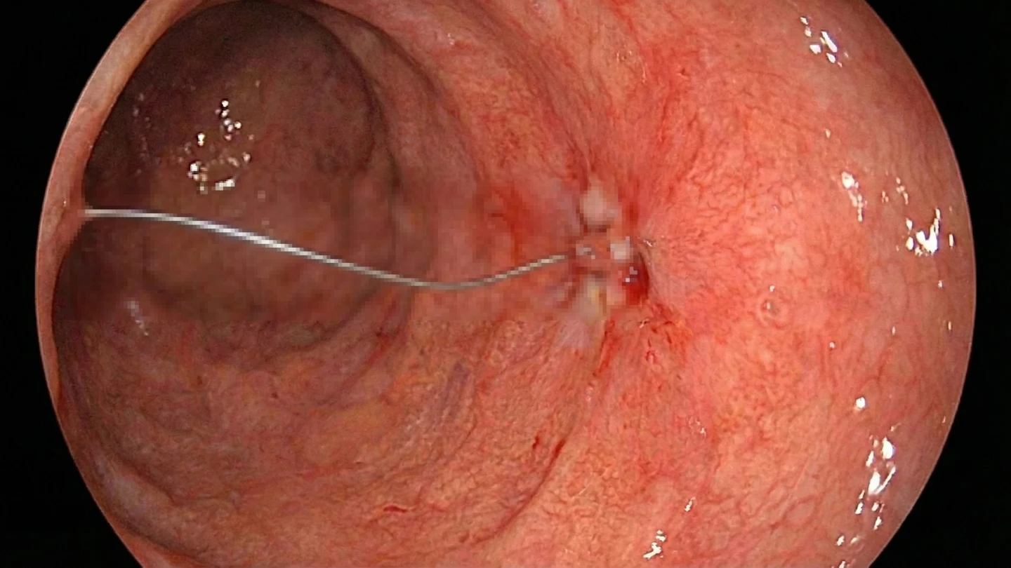 Picture of the author