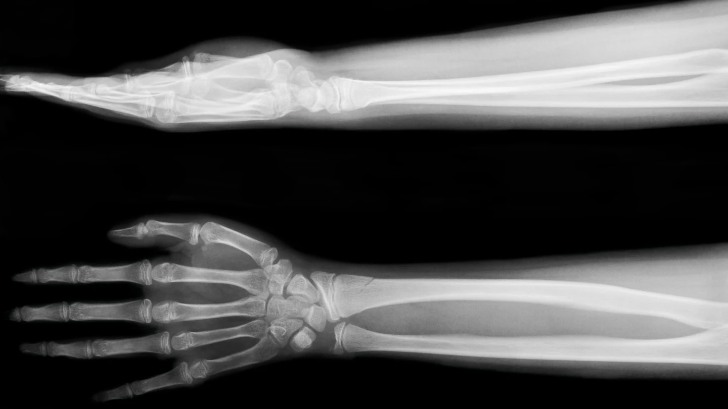 Picture of the author