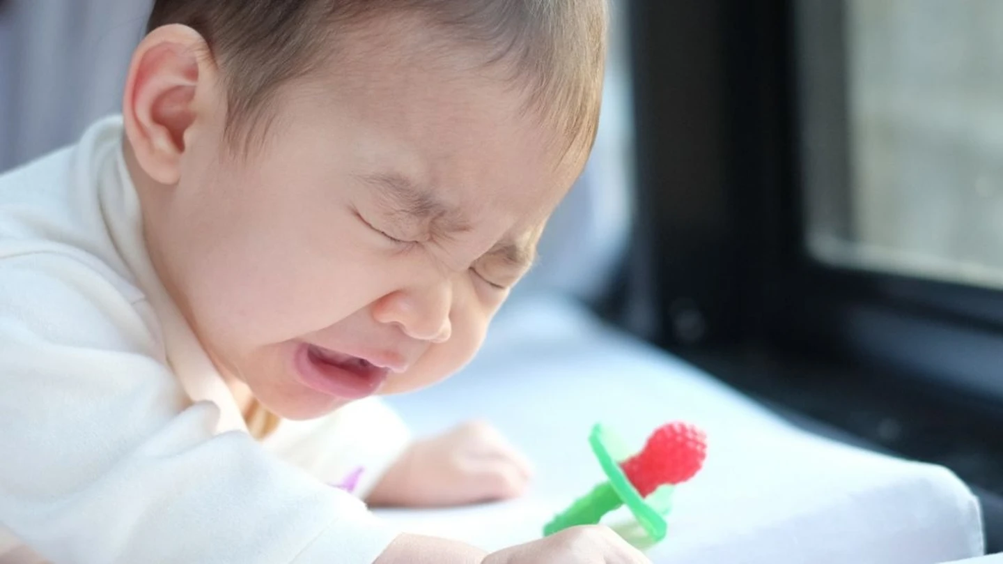 Picture of the author