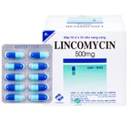 Thuốc Lincomycin 500mg Vidipha điều trị nhiễm khuẩn tai mũi họng, phế quản, phổi (10 vỉ x 10 viên)