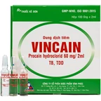 Dung dịch tiêm Vincain 60mg Vinphaco gây tê tại chỗ, gây tê cột sống (100 ống x 2ml)