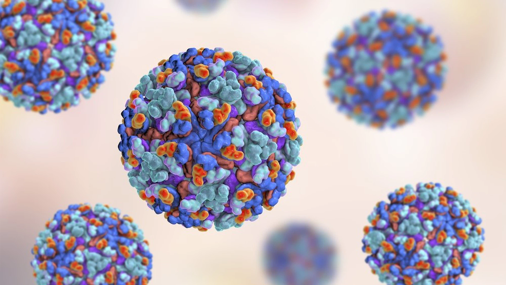 Bệnh Chikungunya là gì? Nguyên nhân, triệu chứng và cách điều trị là gì ...