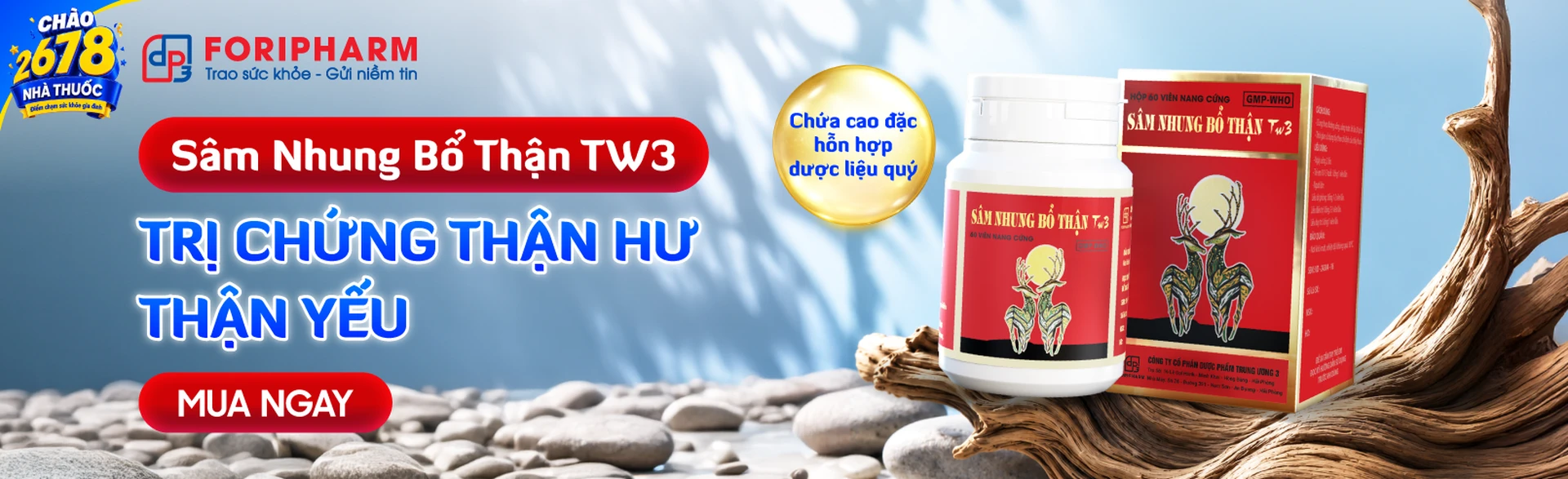 Nhà thuốc Long Châu