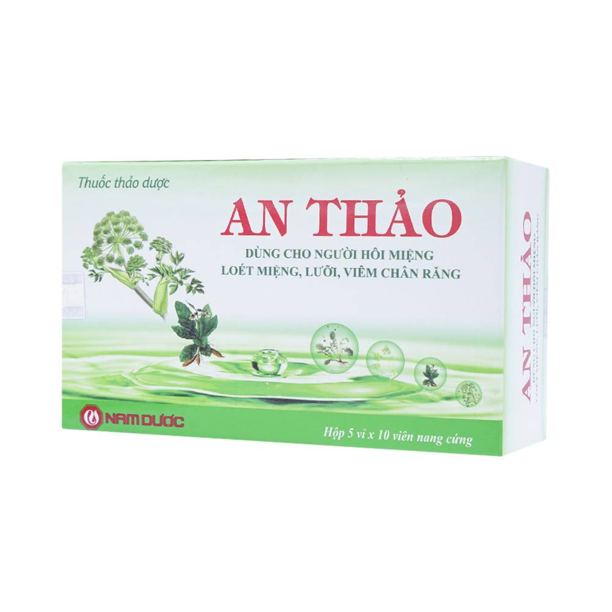 Thuốc An Thảo Nam Dược hỗ trợ điều trị hôi miệng, loét miệng (5 vỉ x 10 viên)