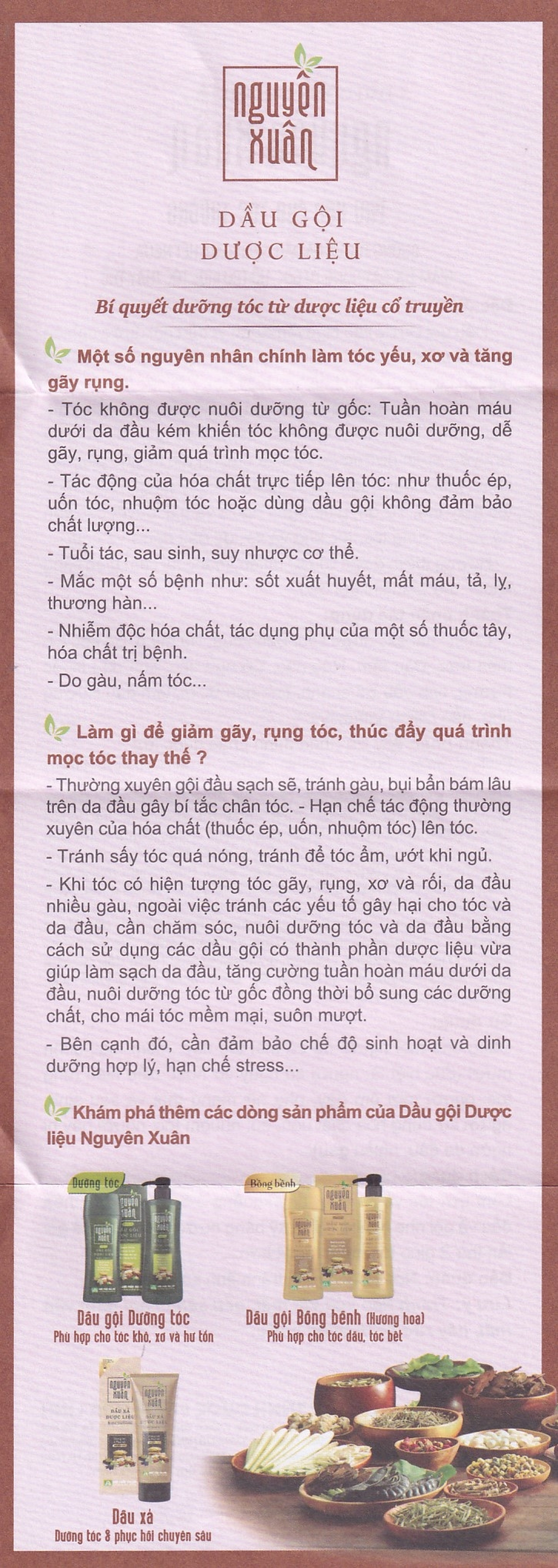 Dầu gội dược liệu Nguyên Xuân nâu giảm gãy rụng dành cho tóc thường (200ml)