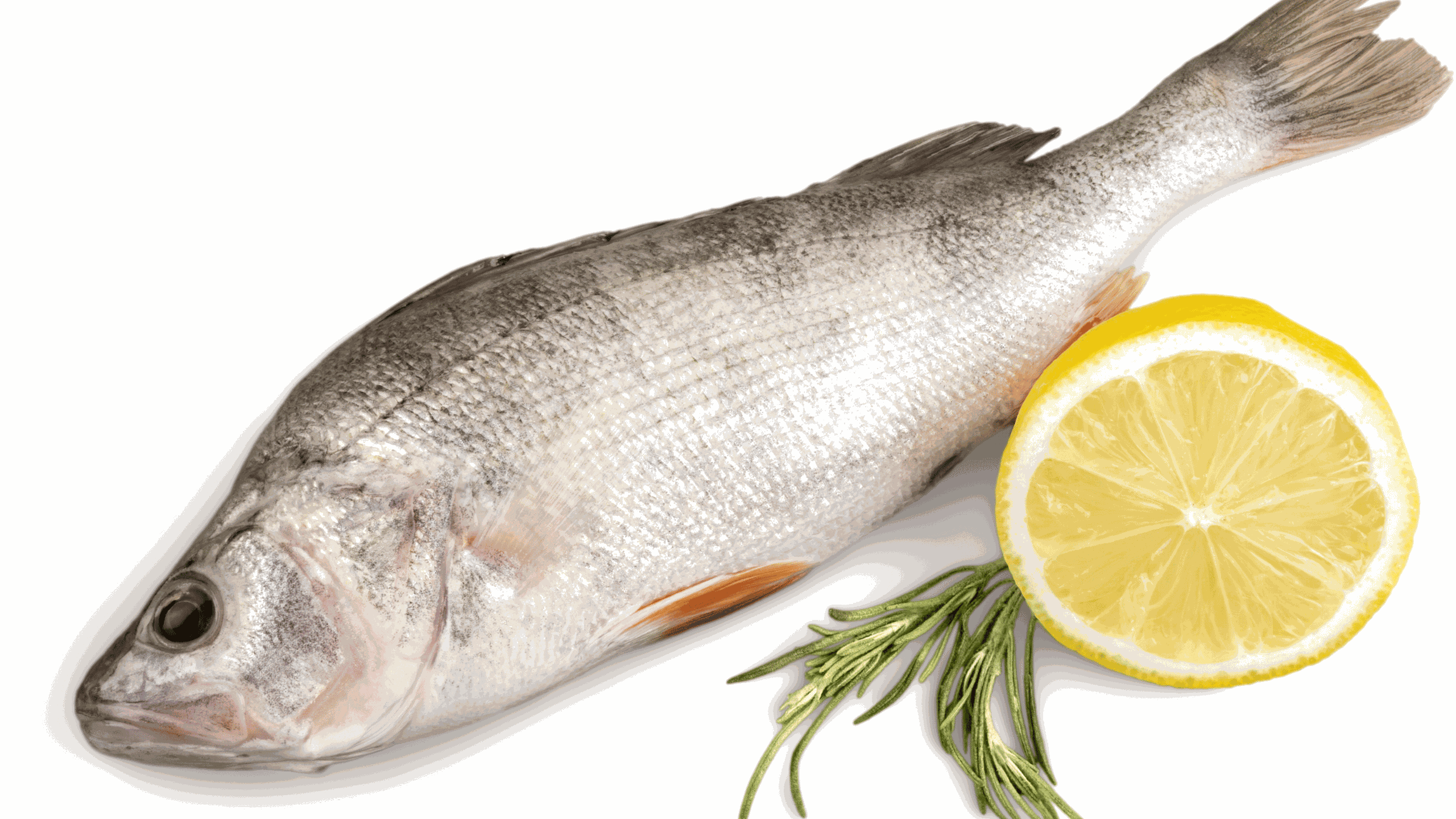 5 loại cá nên ăn thường xuyên để giảm cân và mỡ nội tạng