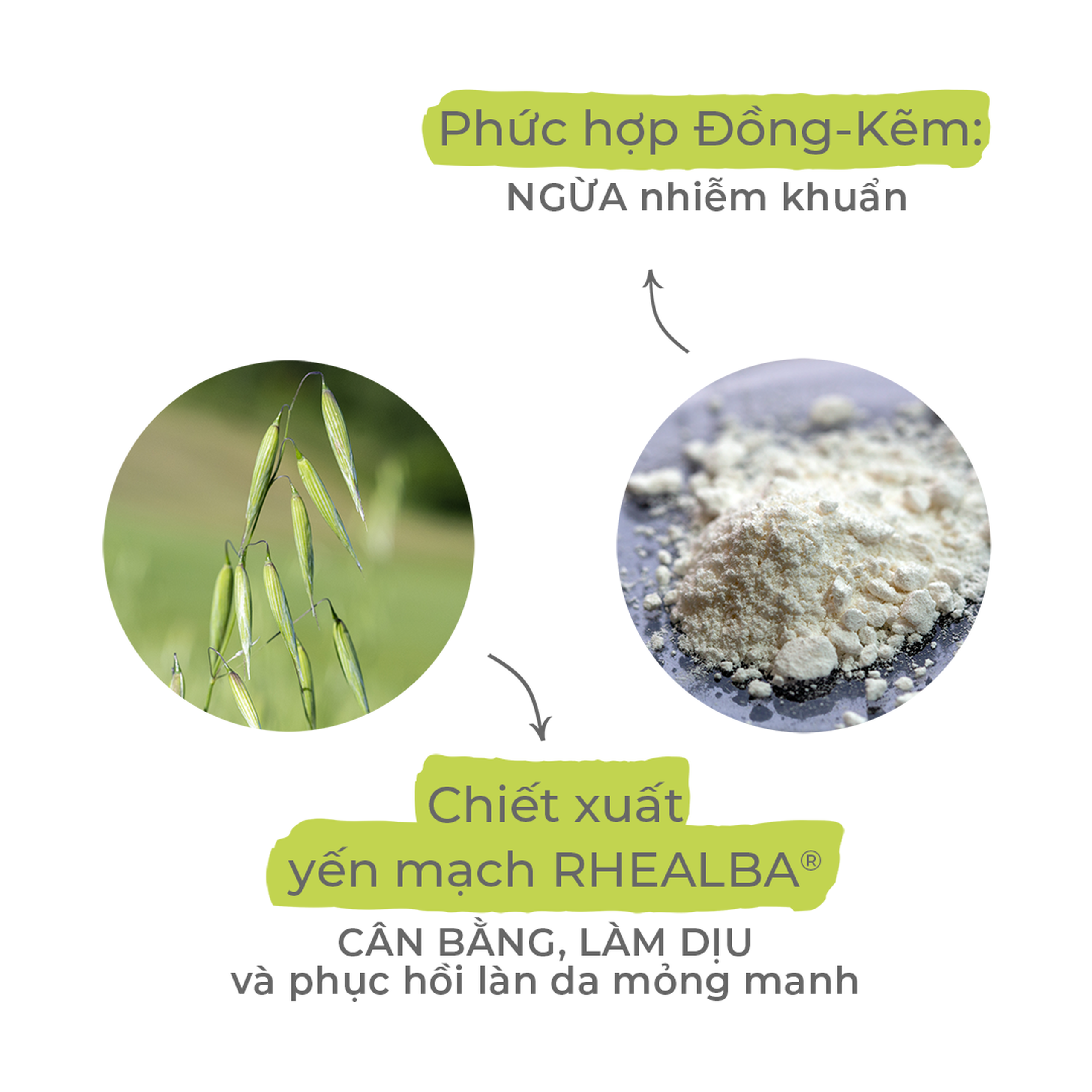 Kem bôi A-Derma Dermalibour+ Crème sát khuẩn phục hồi da (50ml)