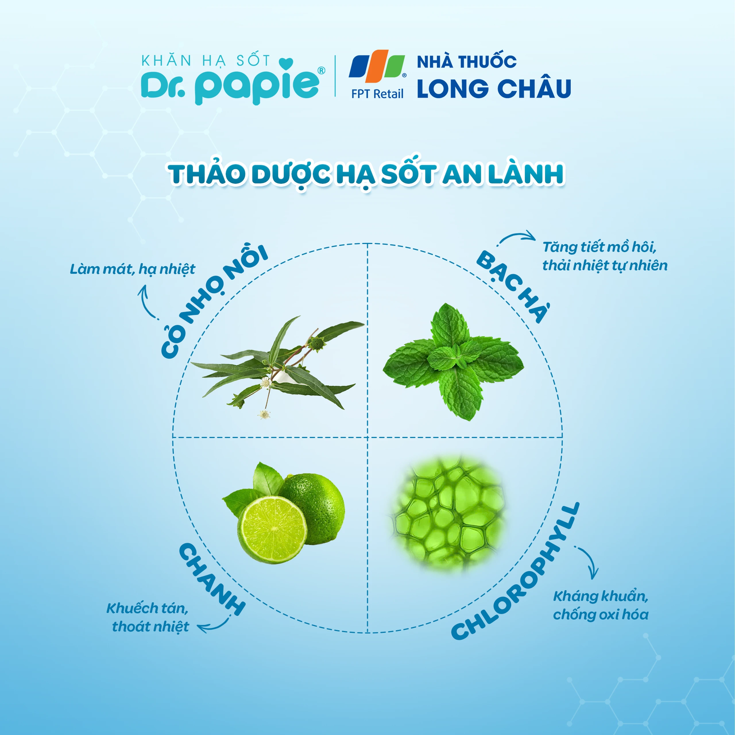 Khăn hạ sốt Dr.Papie 3M0+ Starmed (5 gói x 5 miếng) hạ nhiệt giảm sốt dùng cho trẻ từ 3 tháng tuổi