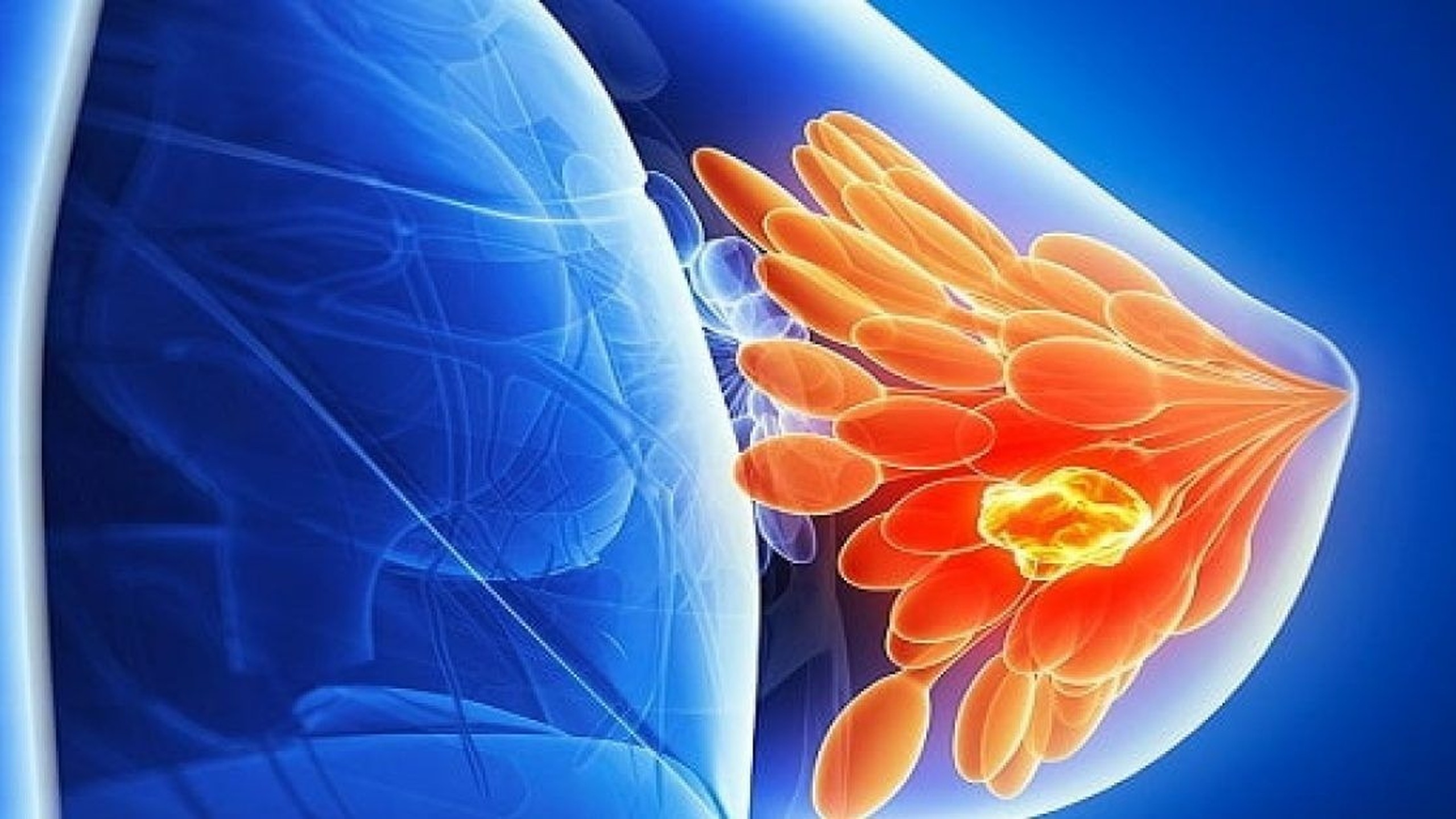 Cấu tạo, chức năng của tuyến vú và các bệnh lý thường gặp 0