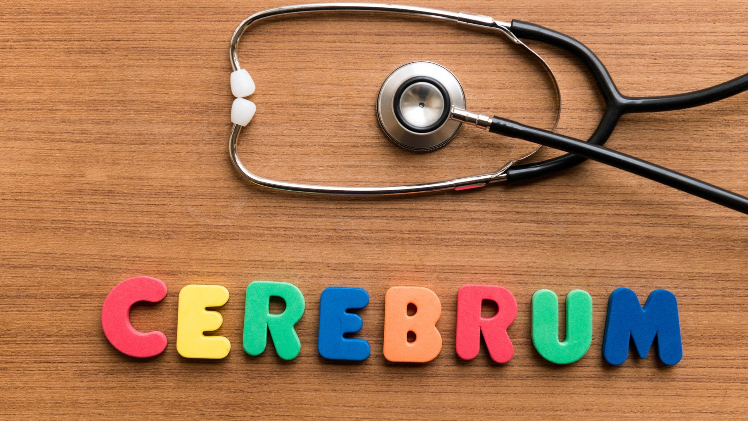 Cerebrum là gì? Thông tin quan trọng về cerebrum hay còn gọi là đại não