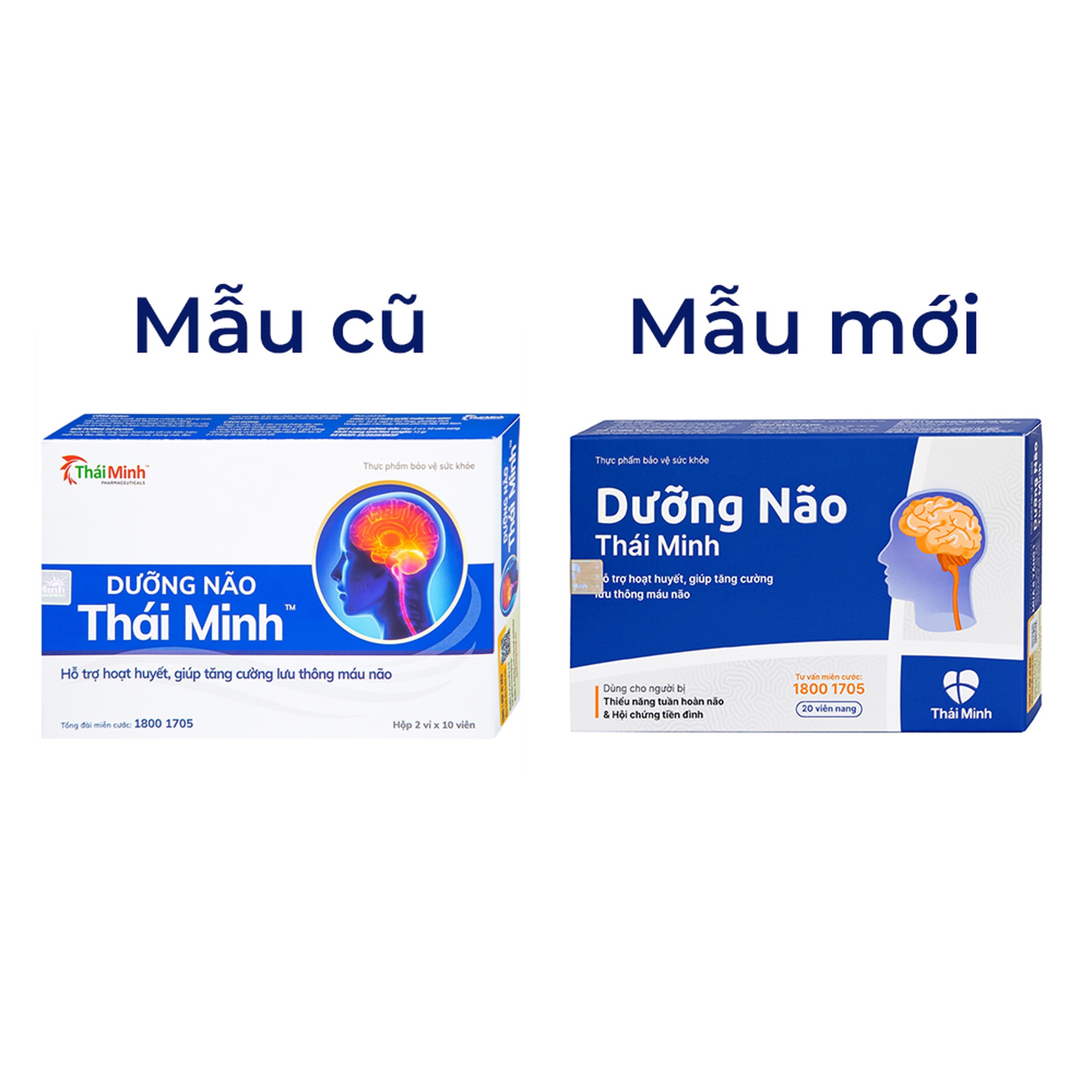 Viên tăng lưu thông máu não Dưỡng Não Thái Minh (2 vỉ x 10 viên)