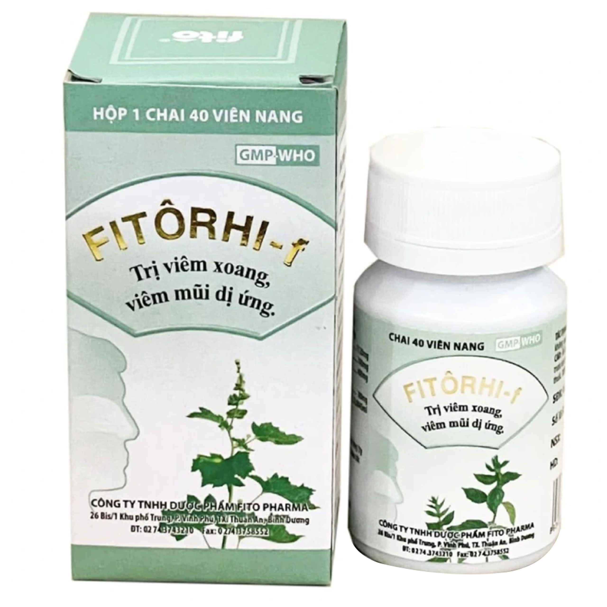 Thuốc Fitôrhi – F Fito điều trị cho những người bị viêm xoang, viêm mũi dị ứng (40 viên)