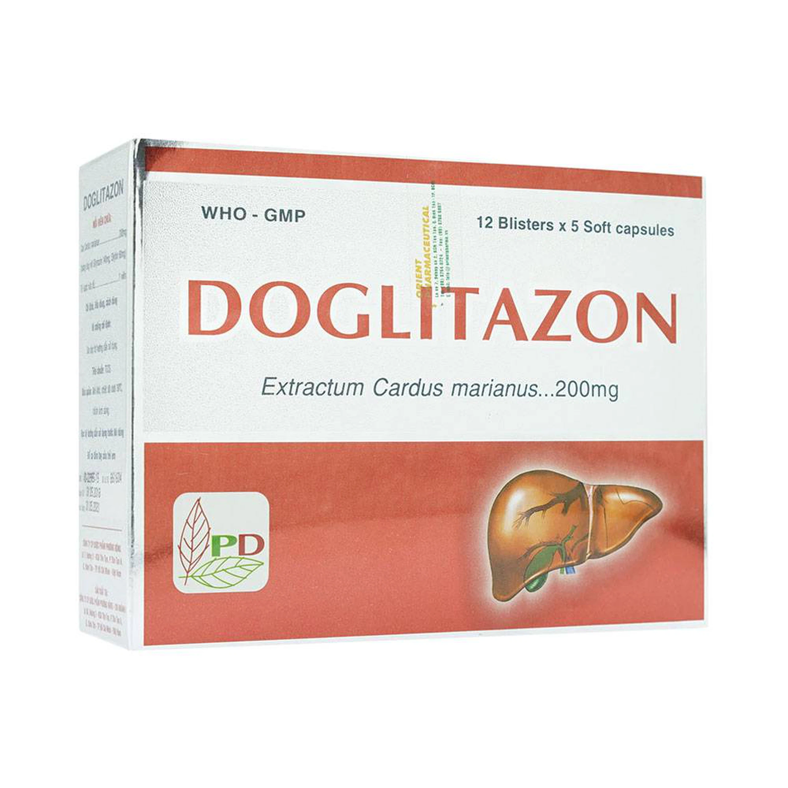 Thuốc Doglitazon 200mg Phương Đông điều trị rối loạn tiêu hóa, giải độc gan (12 vỉ x 5 viên)