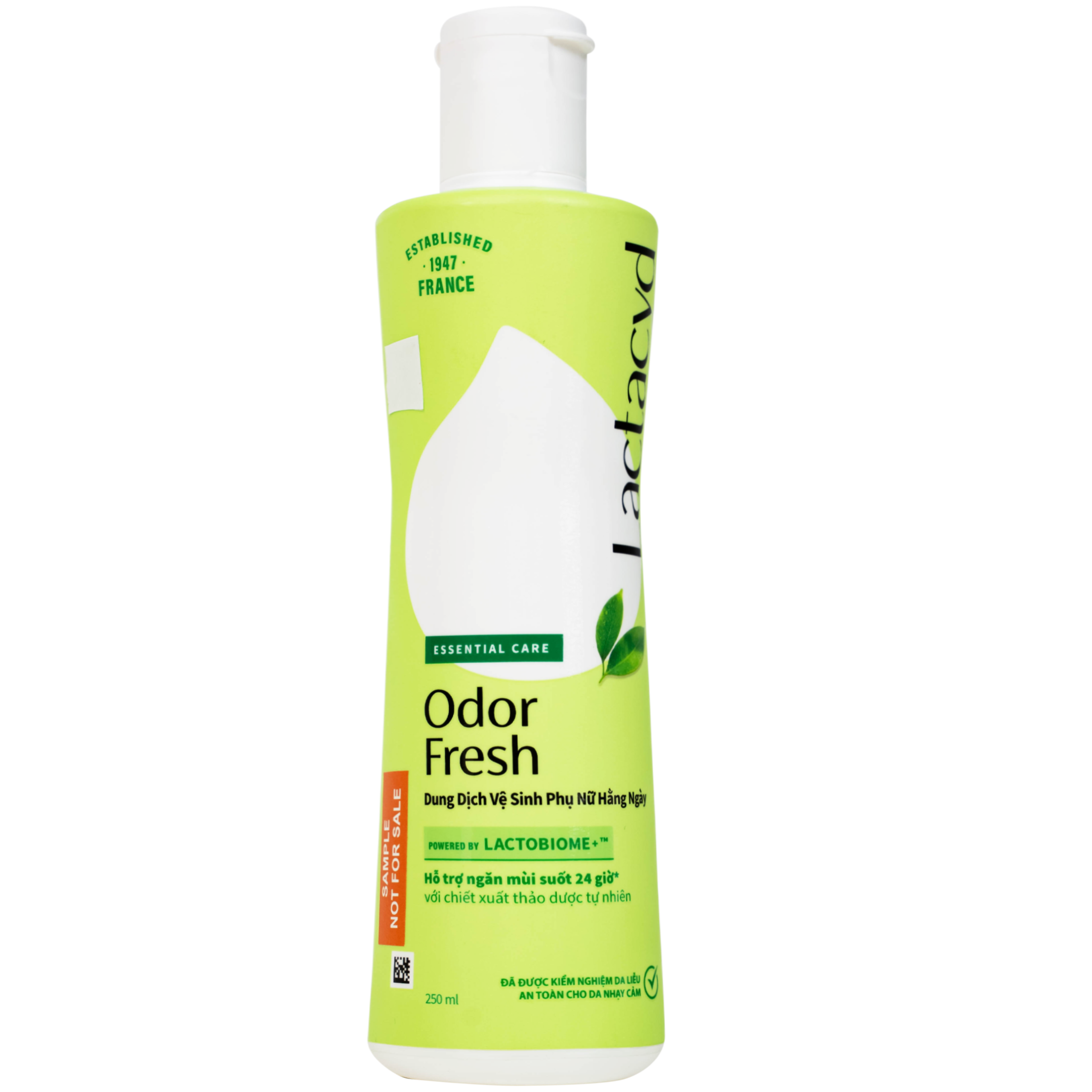 Dung dịch vệ sinh phụ nữ Lactacyd Odor Fresh ngăn mùi suốt 24h (250ml)