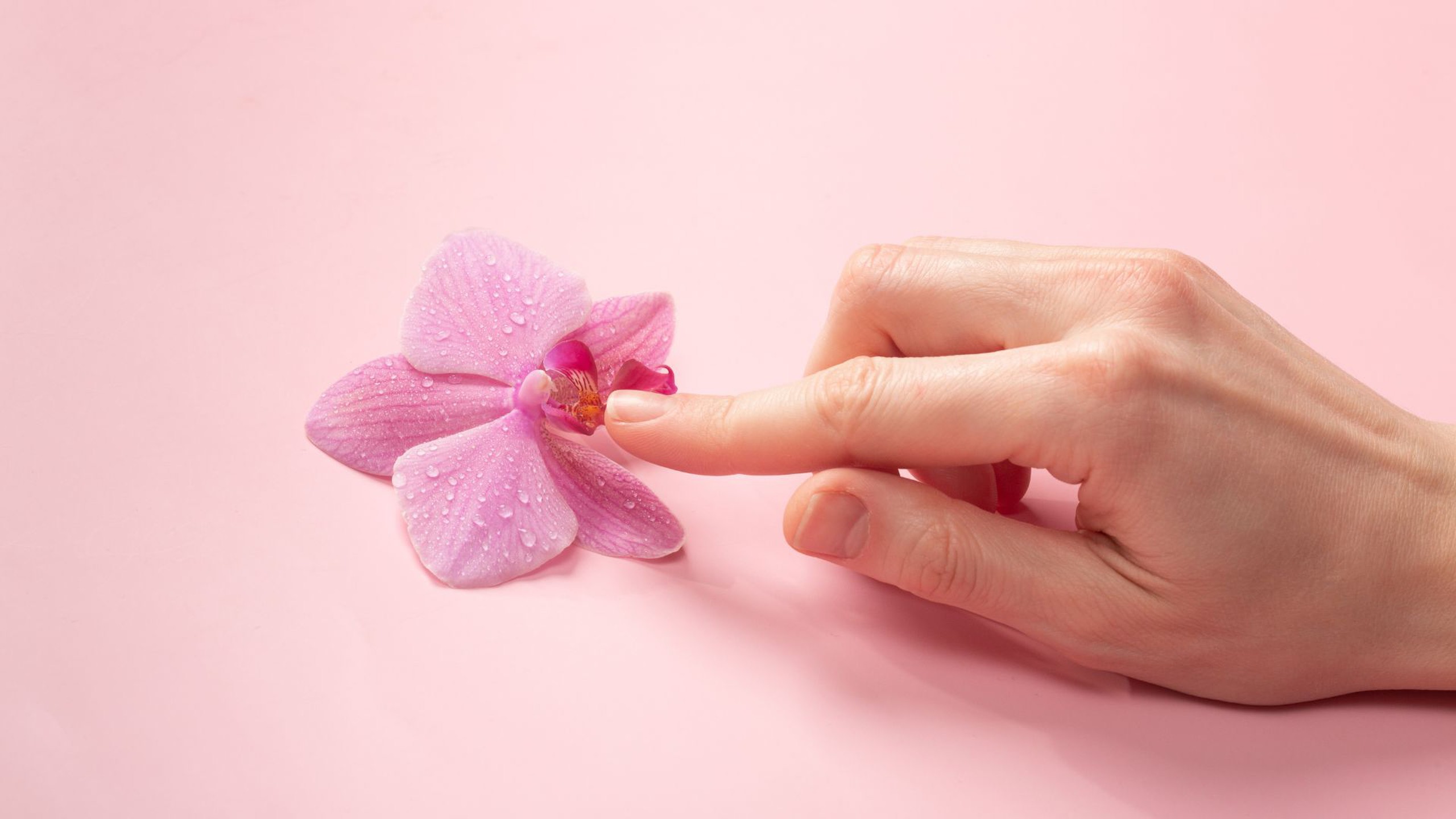 Âm đạo là gì? Vị trí, cấu tạo và chức năng âm đạo