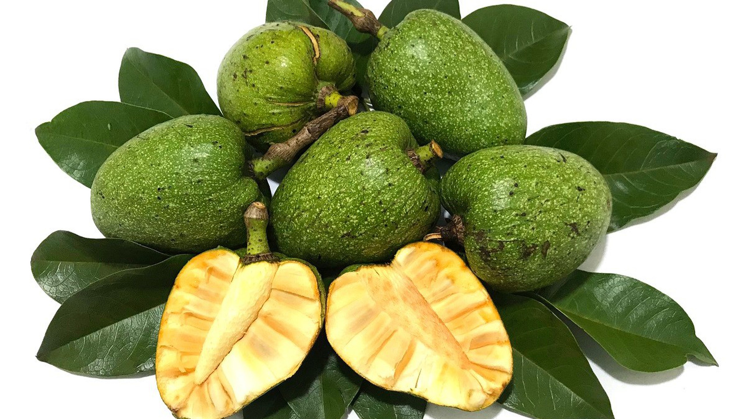 Bầu ăn bình bát được không? Những lợi ích bất ngờ với mẹ bầu