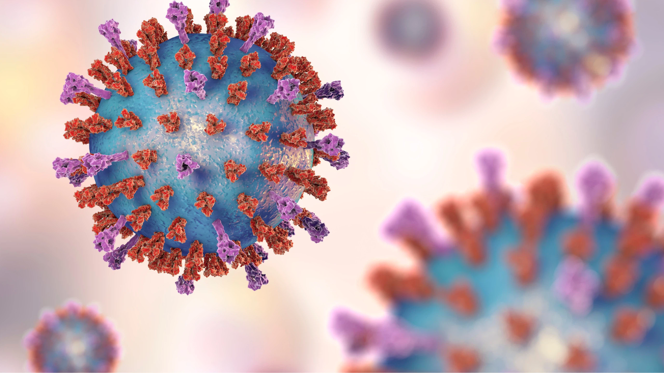 Mùa nào dễ nhiễm virus RSV?