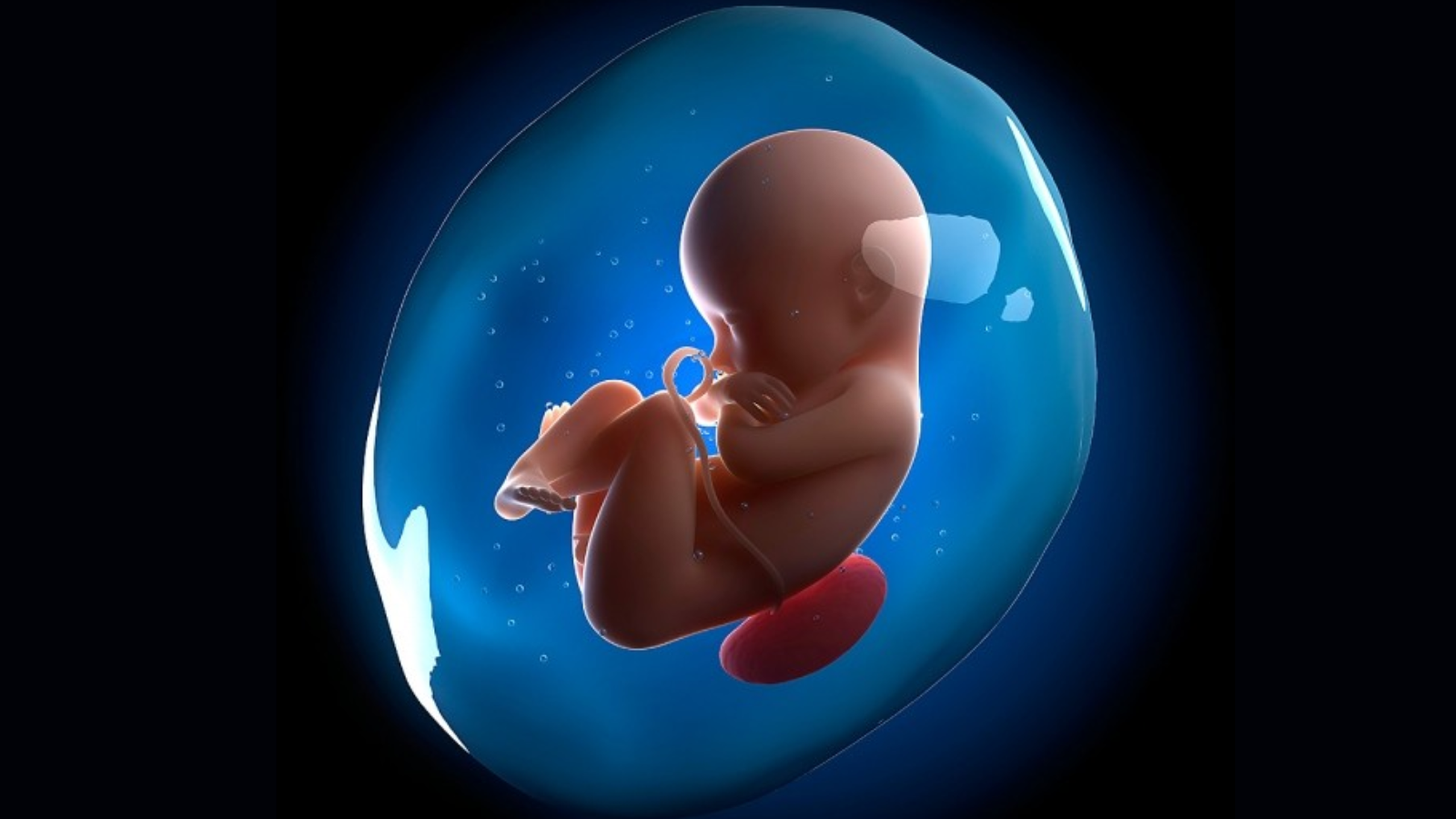 Nhiễm trùng bào thai và cách phòng ngừa 