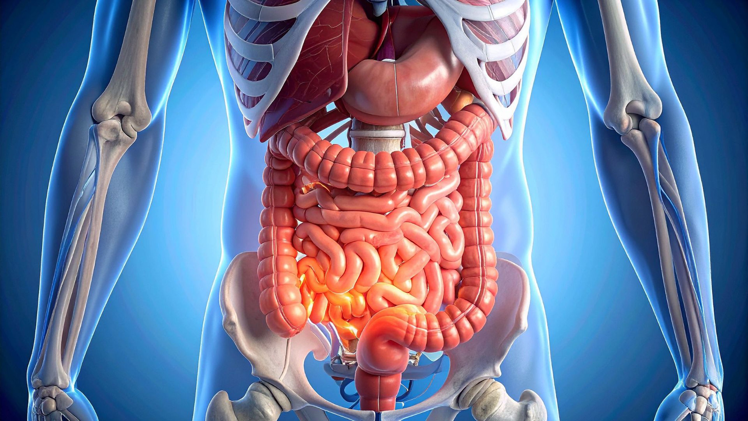 Phân khu ổ bụng và ý nghĩa trong chẩn đoán đau bụng