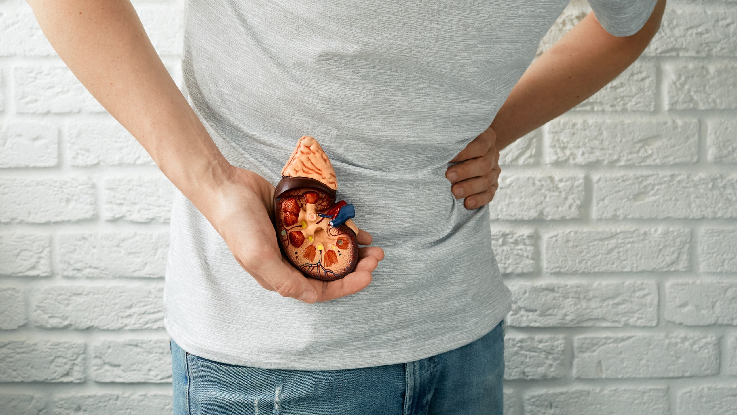 Tán sỏi qua da là gì? Những điều cần biết về phương pháp tán sỏi thận qua da