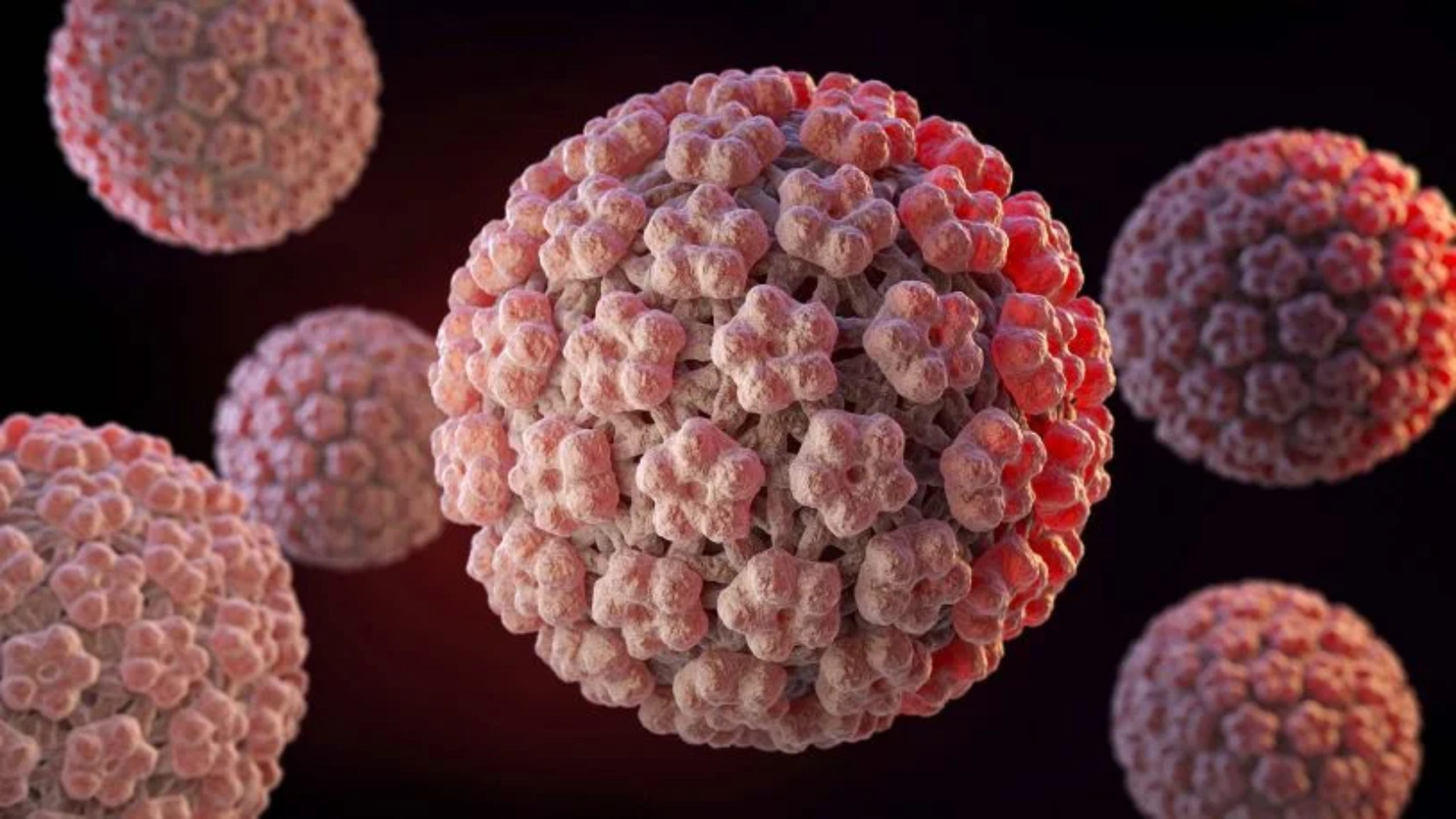 Virus Papilloma và những điều bạn cần biết 