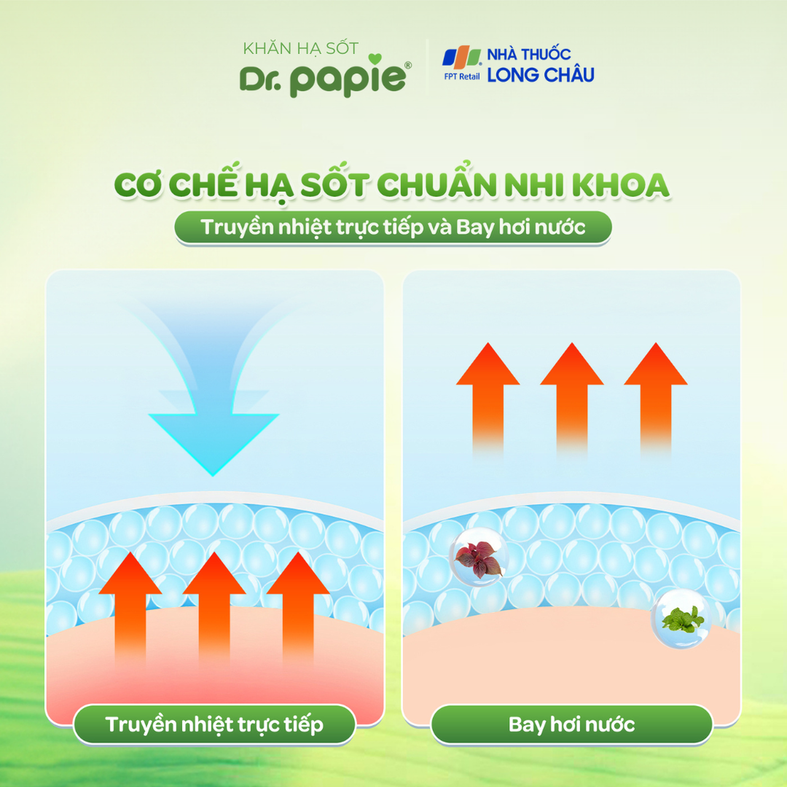 Khăn hạ sốt Dr.Papie 0+ Starmed (5 gói x 5 miếng) hạ nhiệt giảm sốt dùng cho trẻ sơ sinh