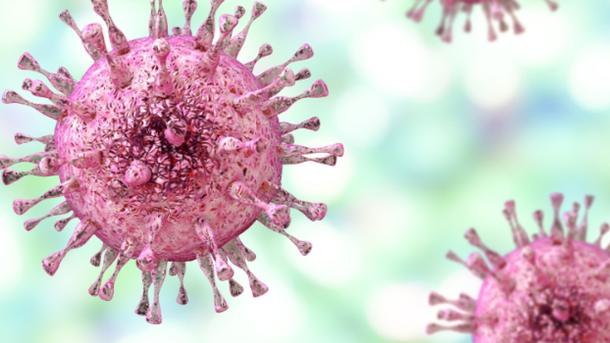 Thủy đậu do Herpes gây ra triệu chứng gì và cách phòng ngừa thủy đậu