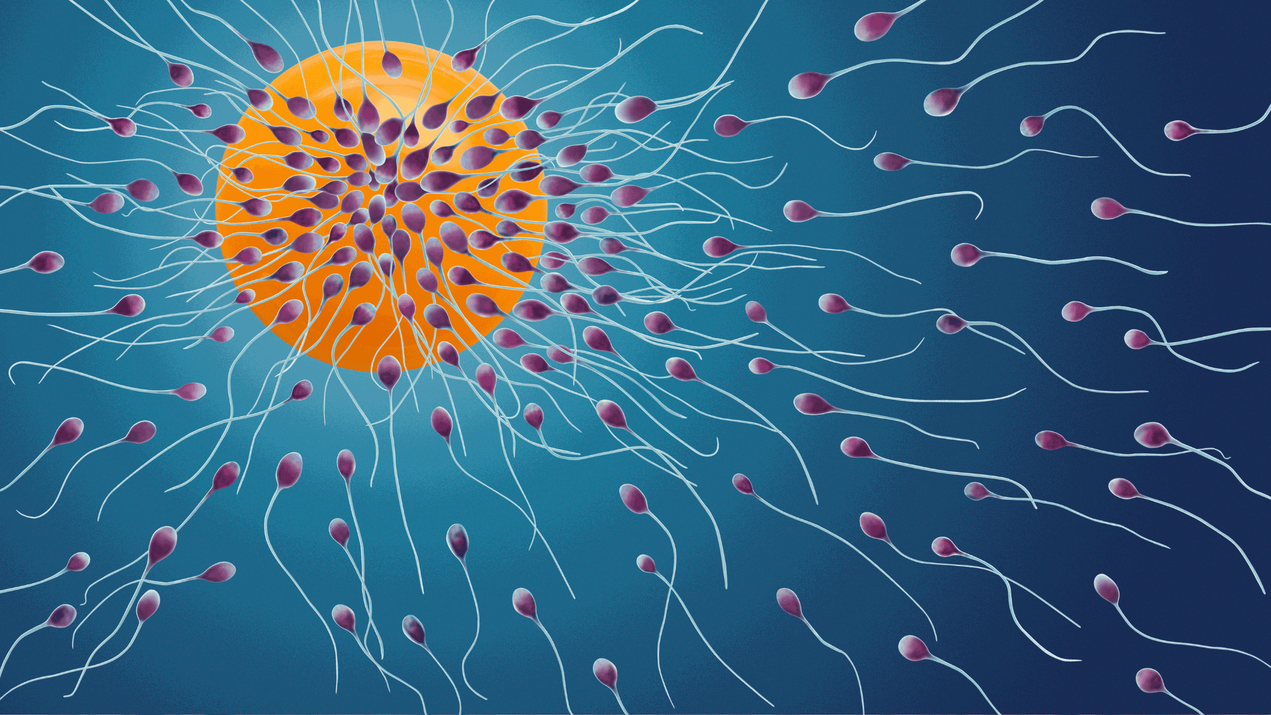 Tinh trùng được tạo ra từ tủy sống: Thực hư thế nào?