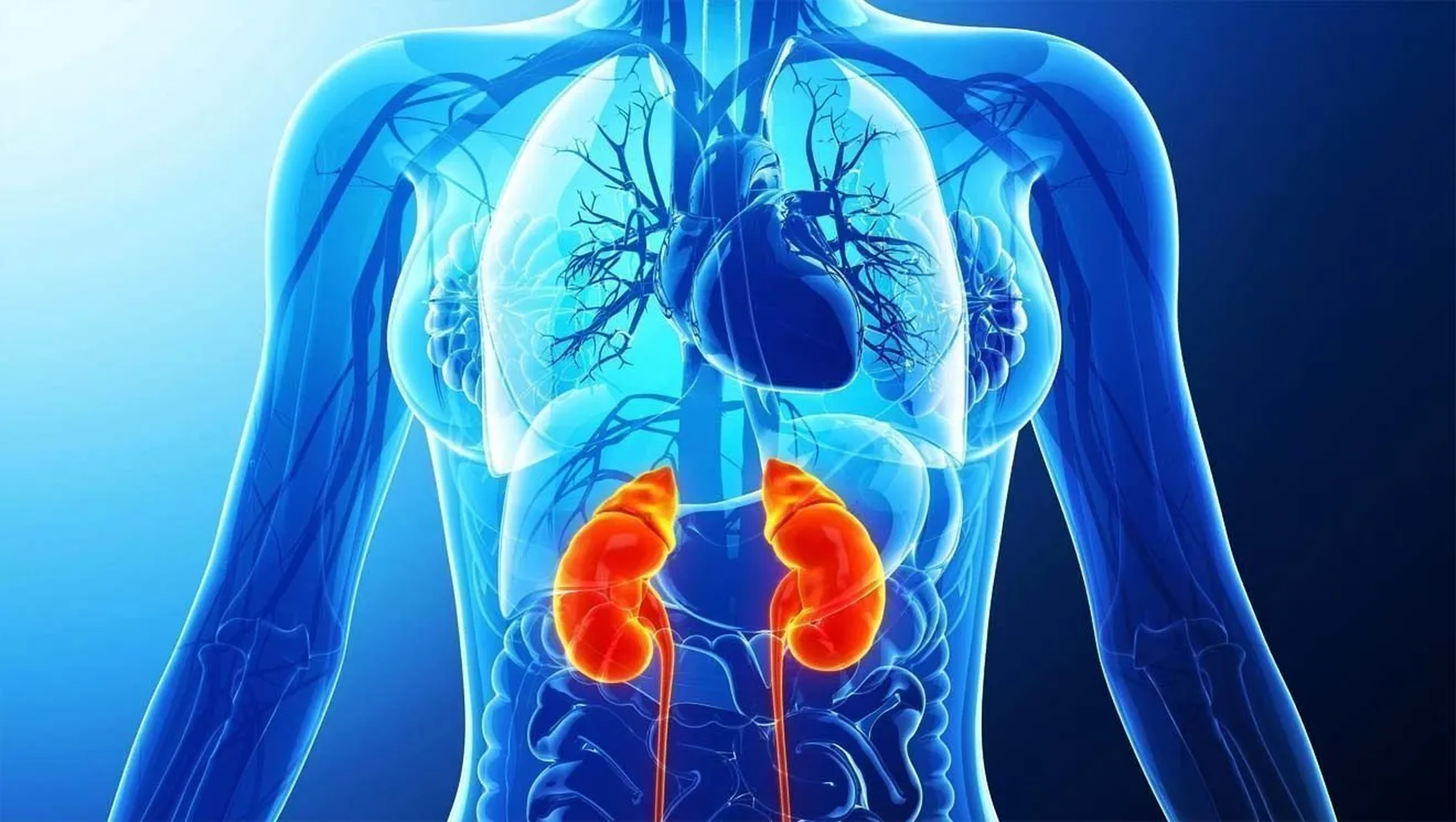 Tổn thương thận cấp (AKI) nguyên nhân do đâu? 1