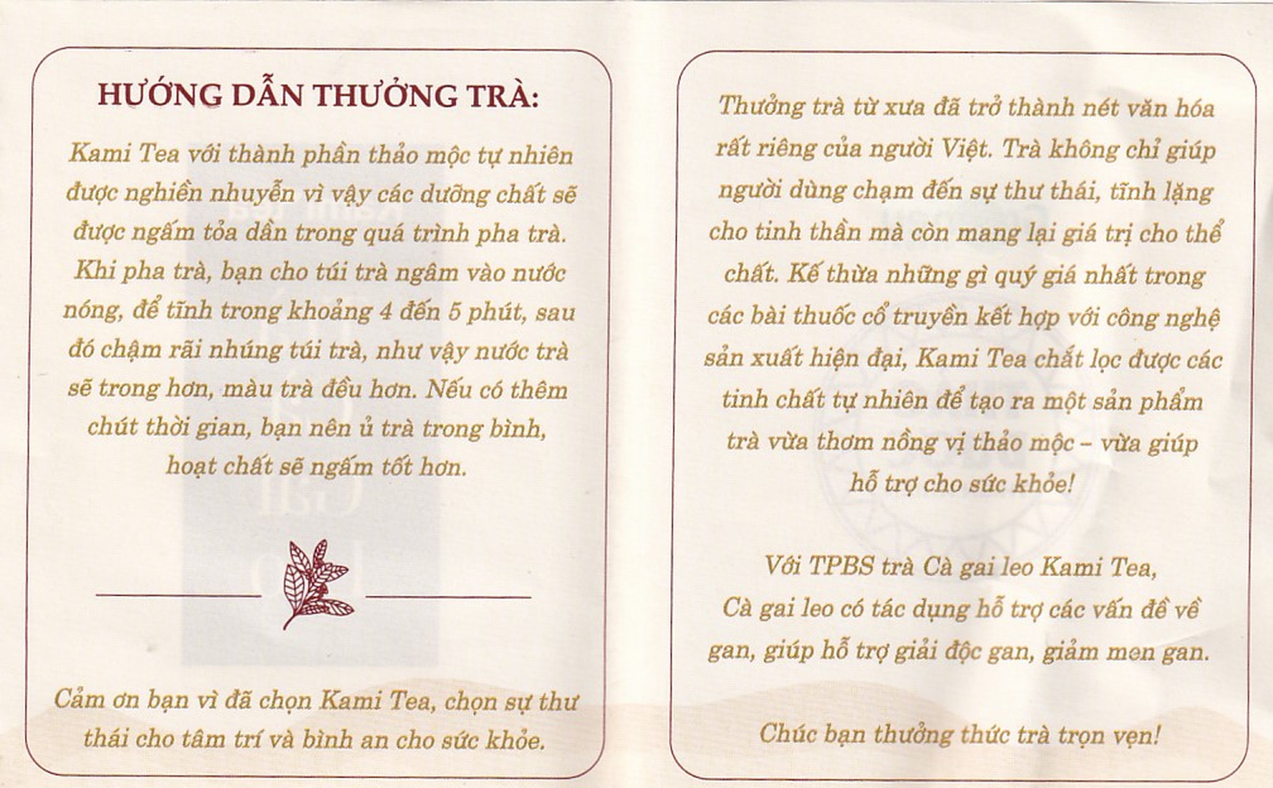 Trà Thảo Dược Cà Gai Leo Kami Tea (20 túi lọc x 2g)