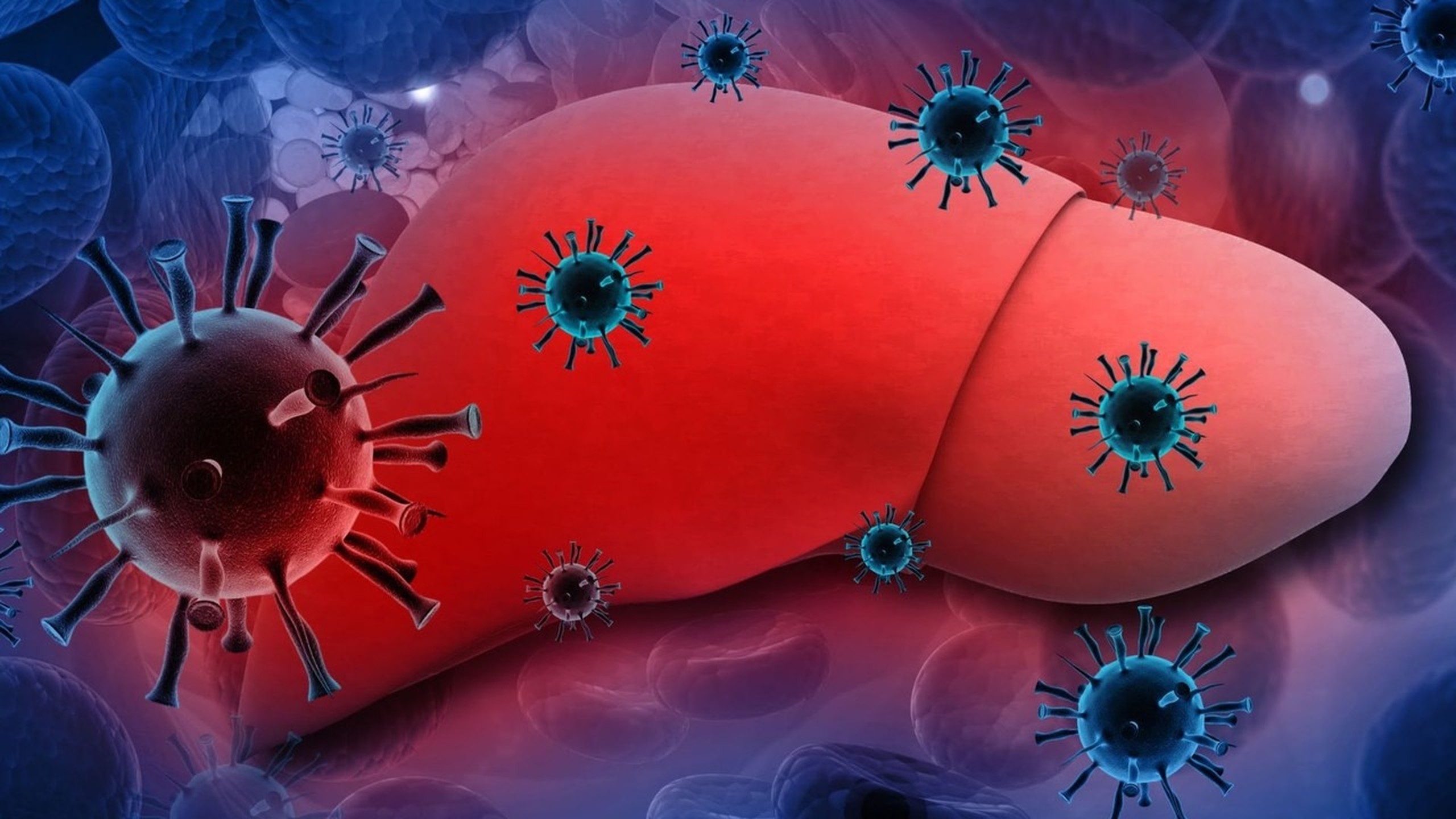 Virus viêm gan A: Đặc điểm, cơ chế lây lan và phòng ngừa