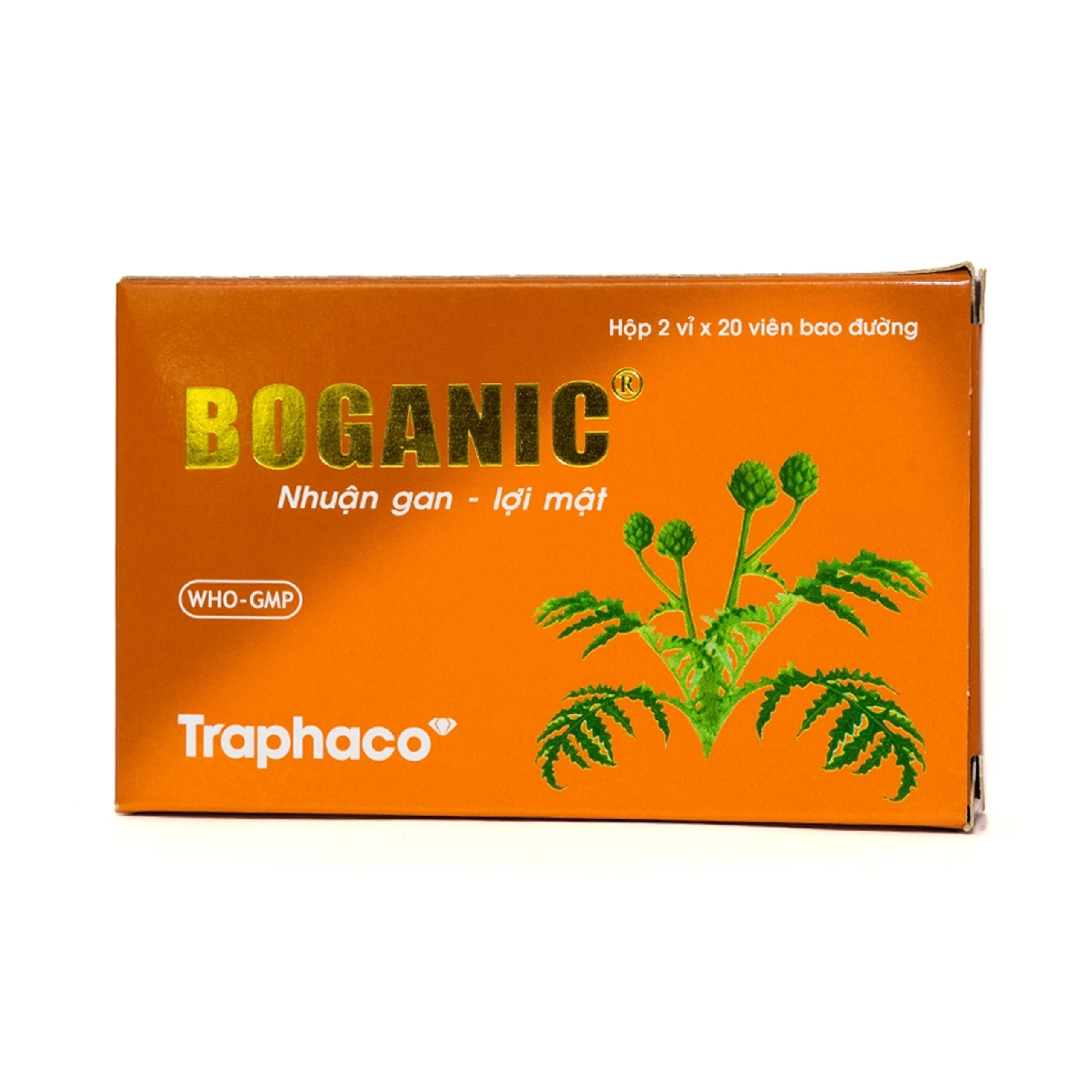 Thuốc Boganic Traphaco bổ gan, hỗ trợ điều trị suy giảm chức năng gan (2 vỉ x 20 viên)