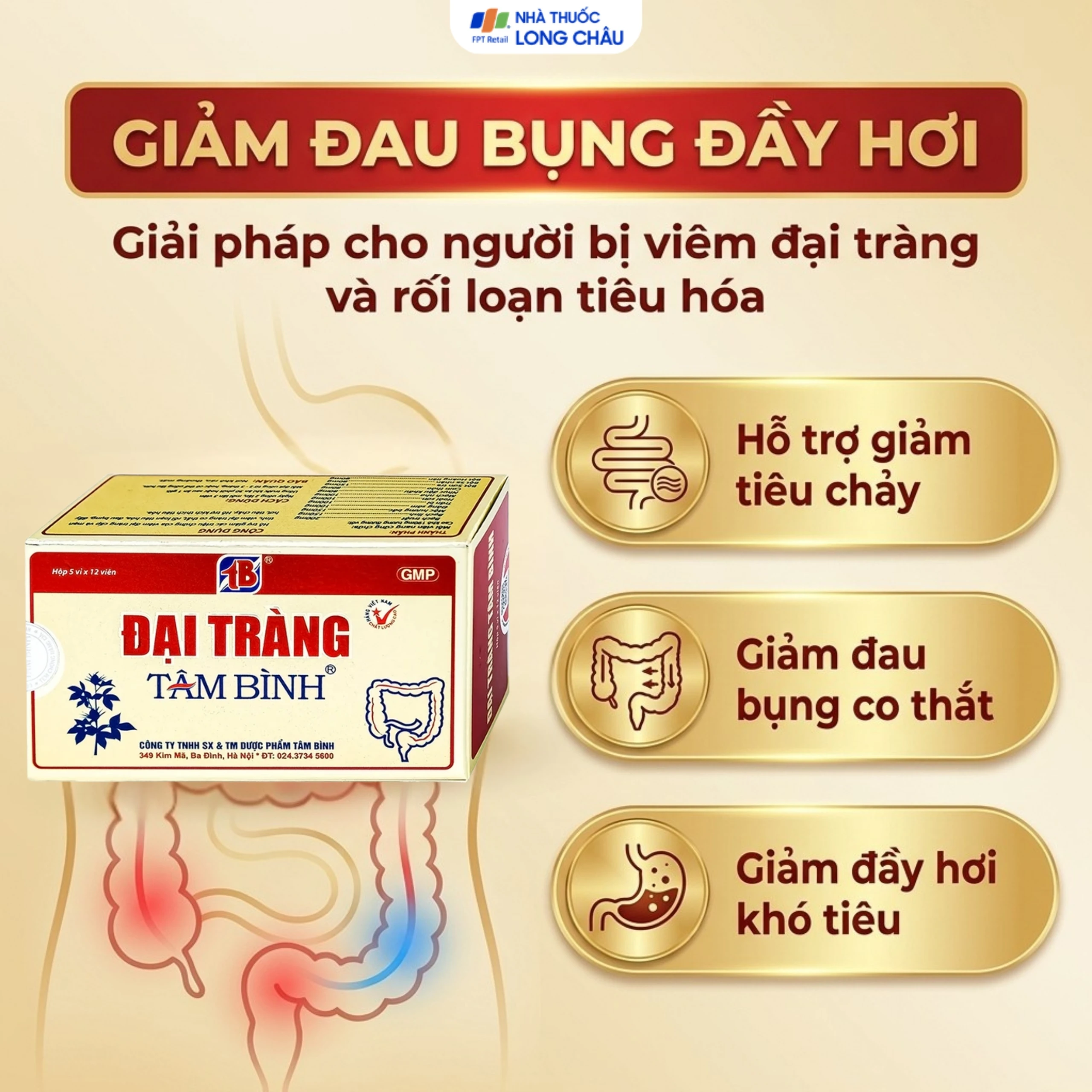 Viên giảm viêm đại tràng cấp và mãn tính Đại Tràng Tâm Bình (5 vỉ x 12 viên) 3