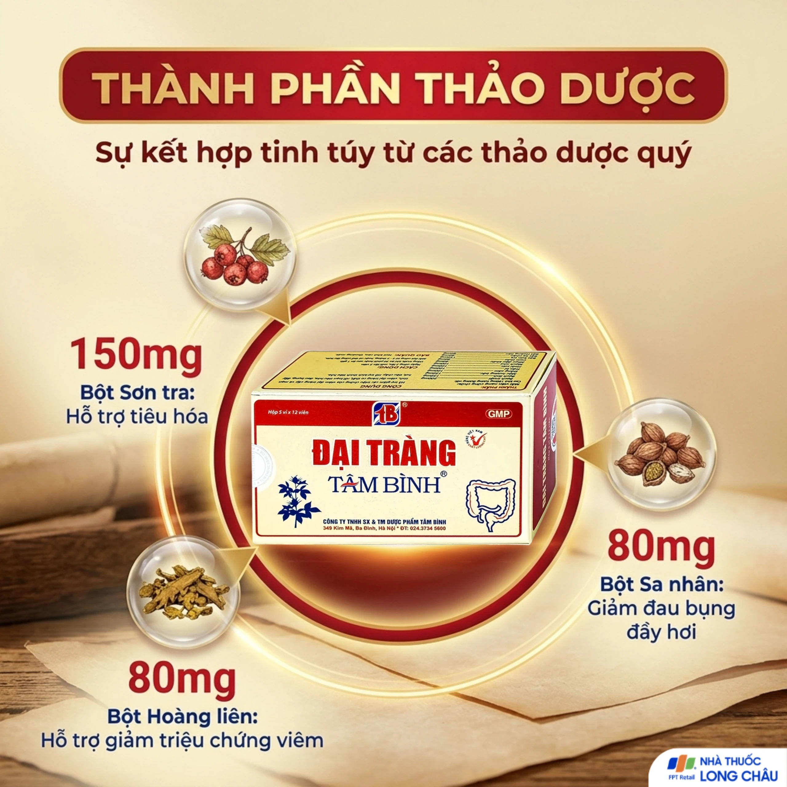 Viên giảm viêm đại tràng cấp và mãn tính Đại Tràng Tâm Bình (5 vỉ x 12 viên) 4
