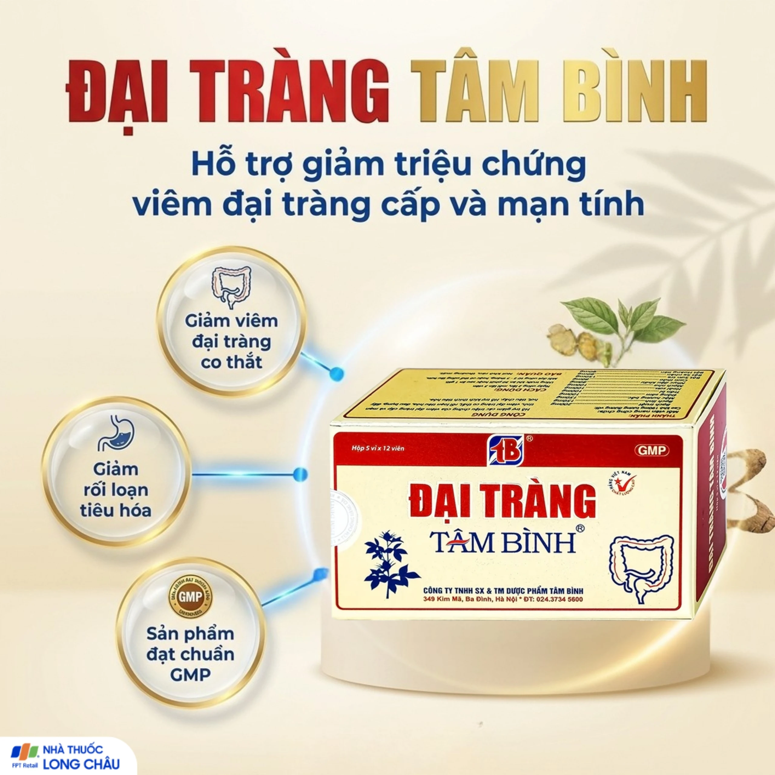 Viên giảm viêm đại tràng cấp và mãn tính Đại Tràng Tâm Bình (5 vỉ x 12 viên) 2