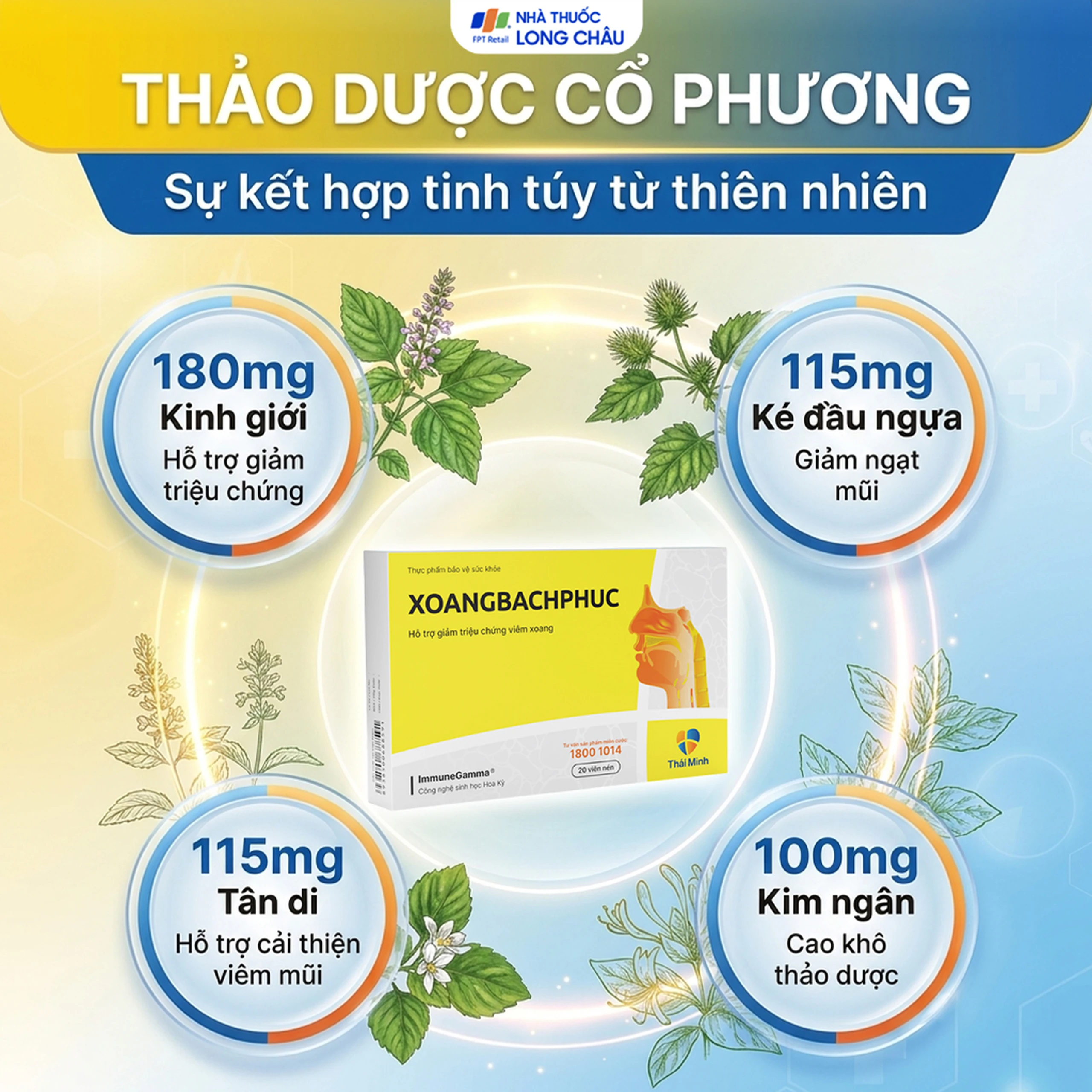 Viên uống hỗ trợ triệu chứng viêm Xoang Bách Phuc (2 vỉ x 10 viên) 3