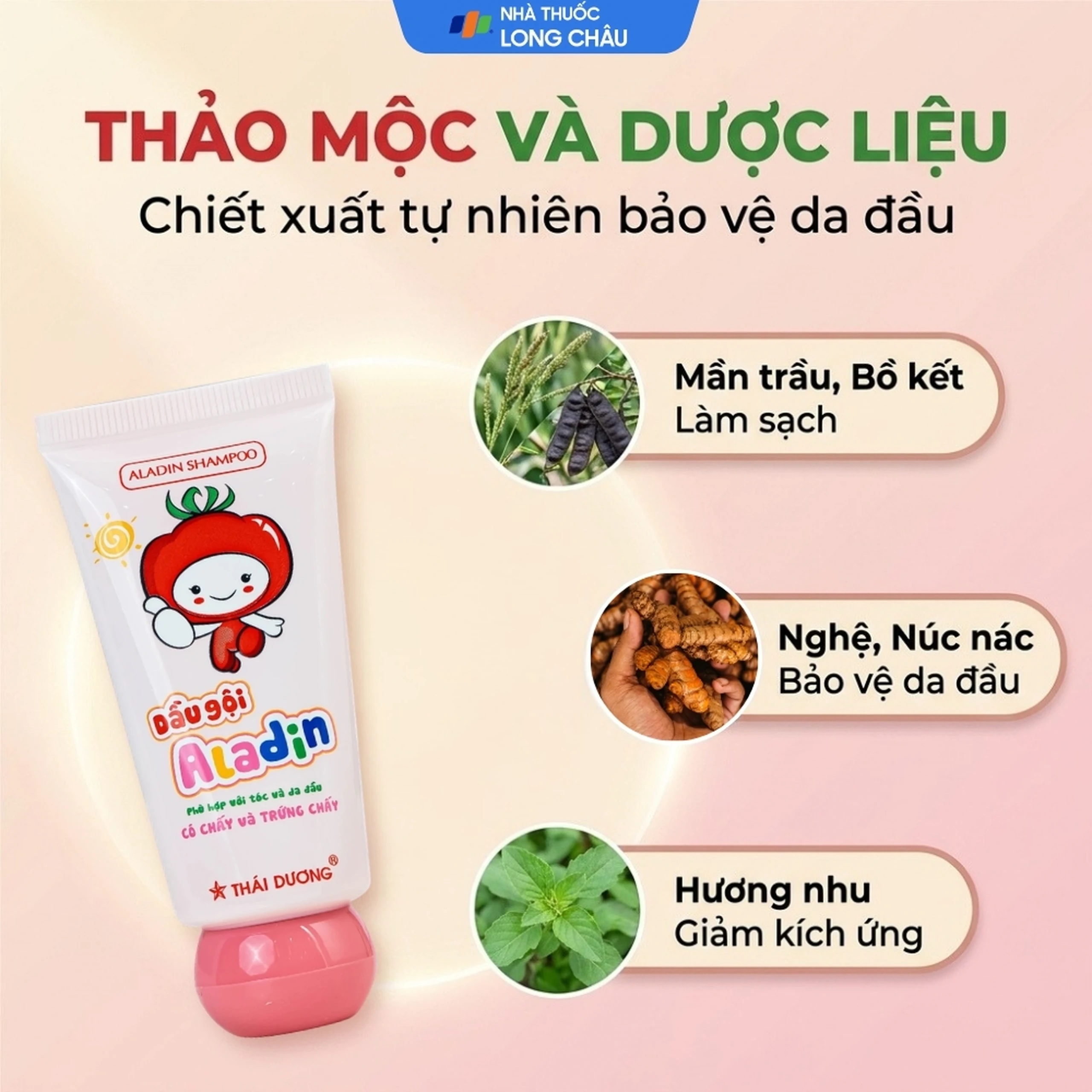 Dầu gội sạch chấy Aladin Thái Dương 30g 3