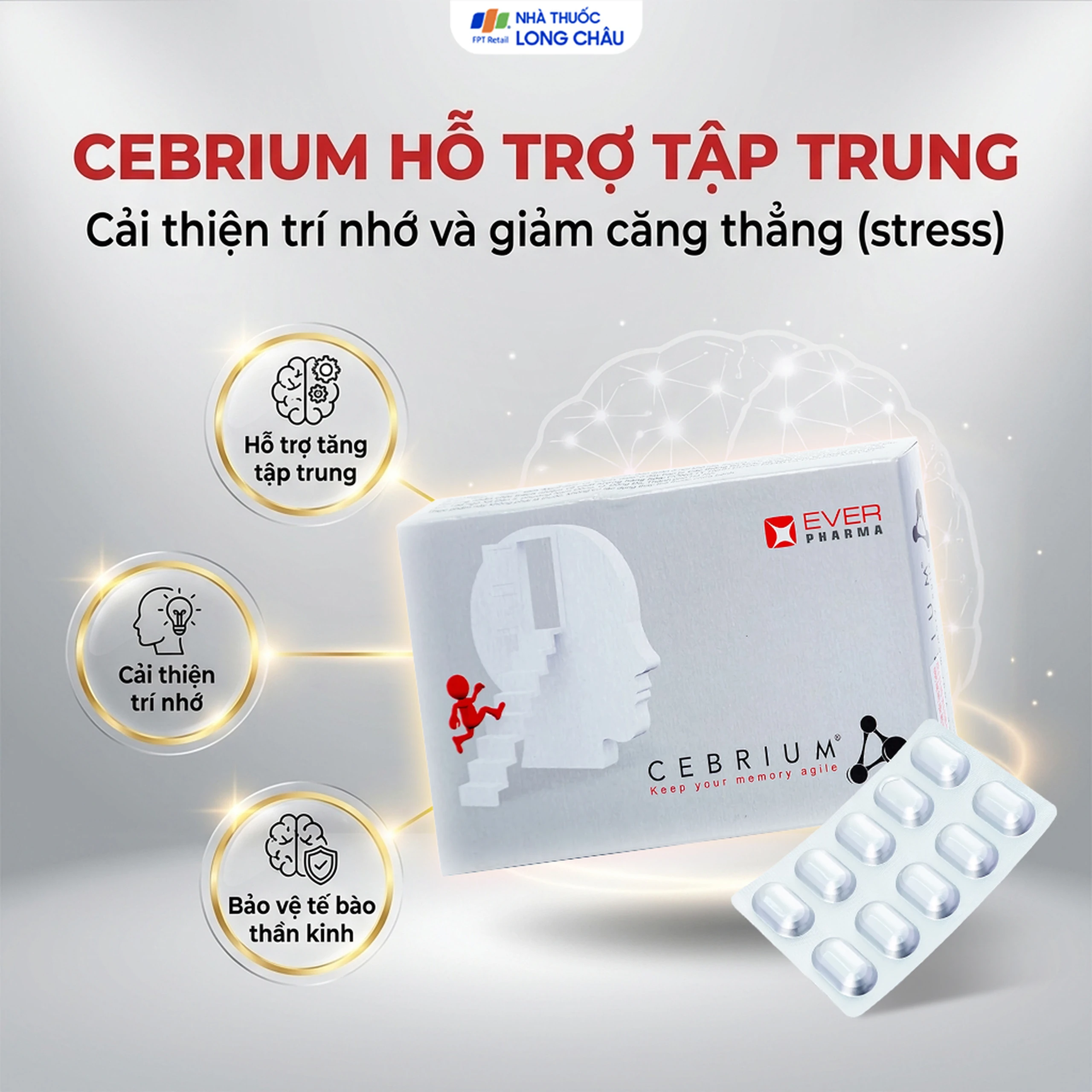 Viên hỗ trợ tăng khả năng tập trung Cebrium Ever Pharma (3 vỉ x 10 viên) 2