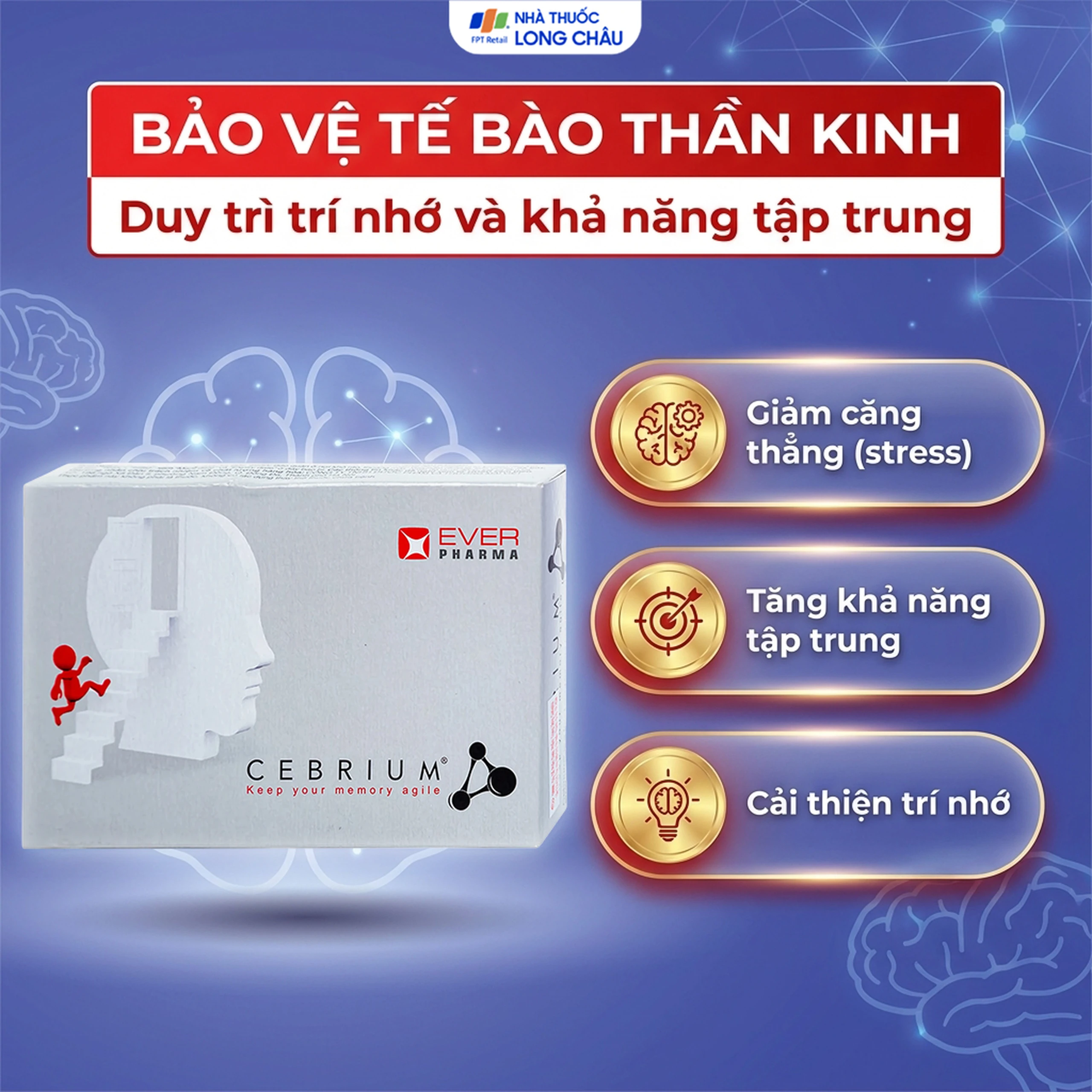 Viên hỗ trợ tăng khả năng tập trung Cebrium Ever Pharma (3 vỉ x 10 viên) 4