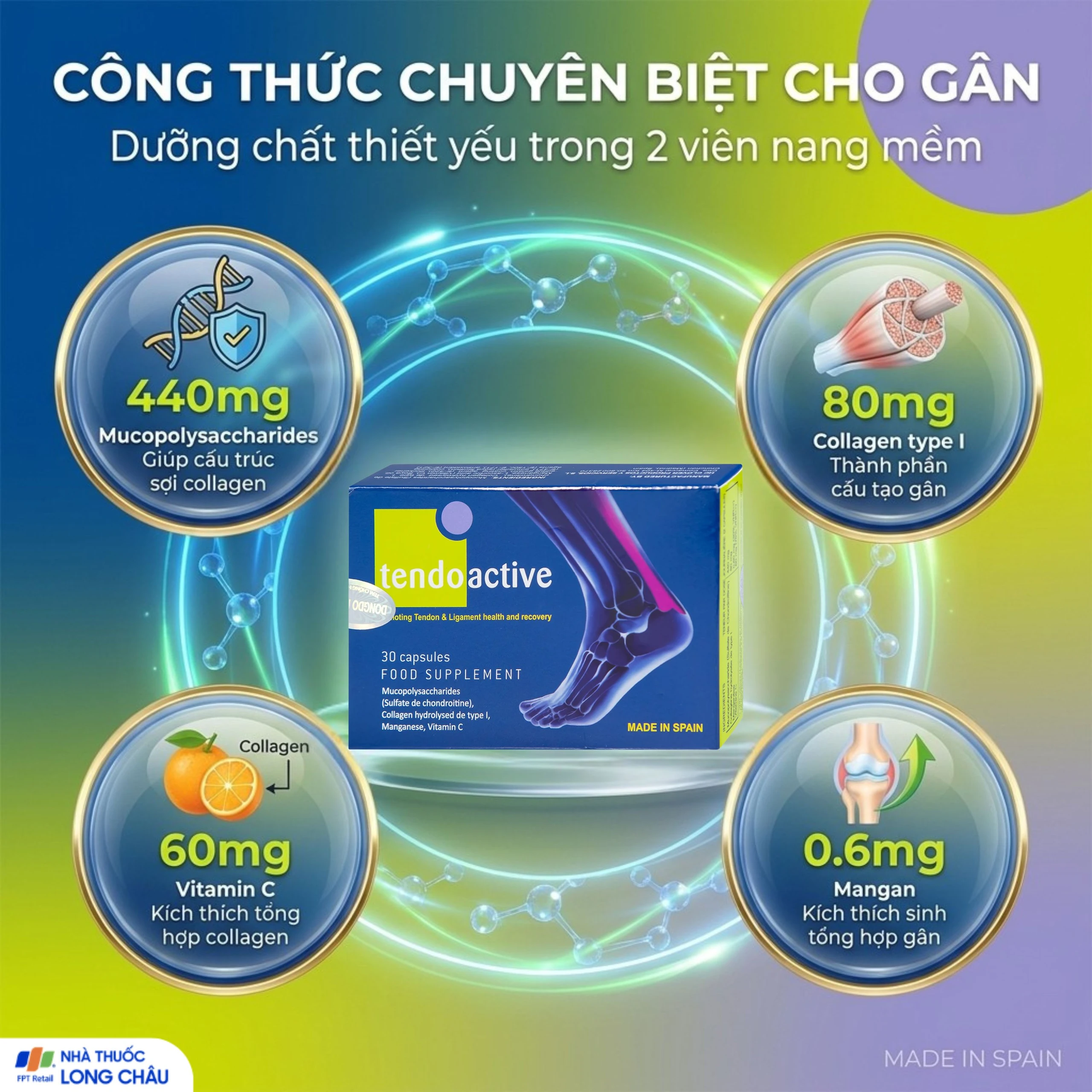 Viên bổ sung dưỡng chất nuôi dưỡng gân và dây chằng Tendoactive Reig Jofre (2 vỉ x 15 viên) 3
