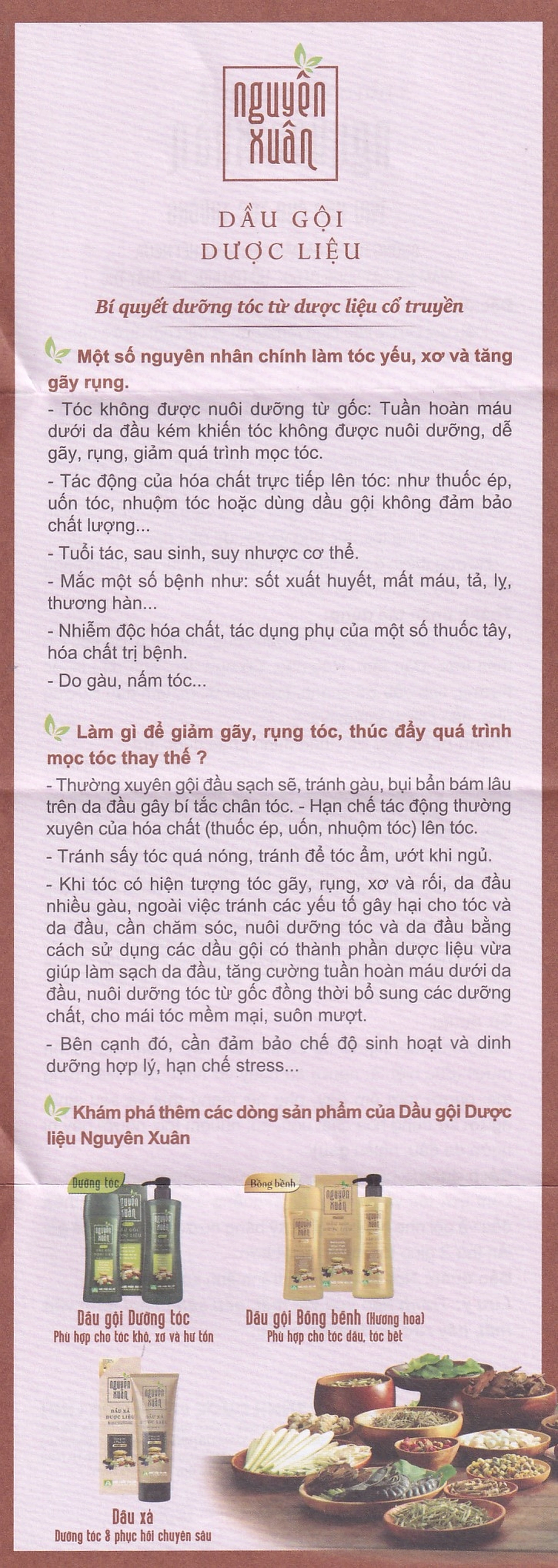 Dầu gội dược liệu Nguyên Xuân nâu giảm gãy rụng dành cho tóc thường (200ml)