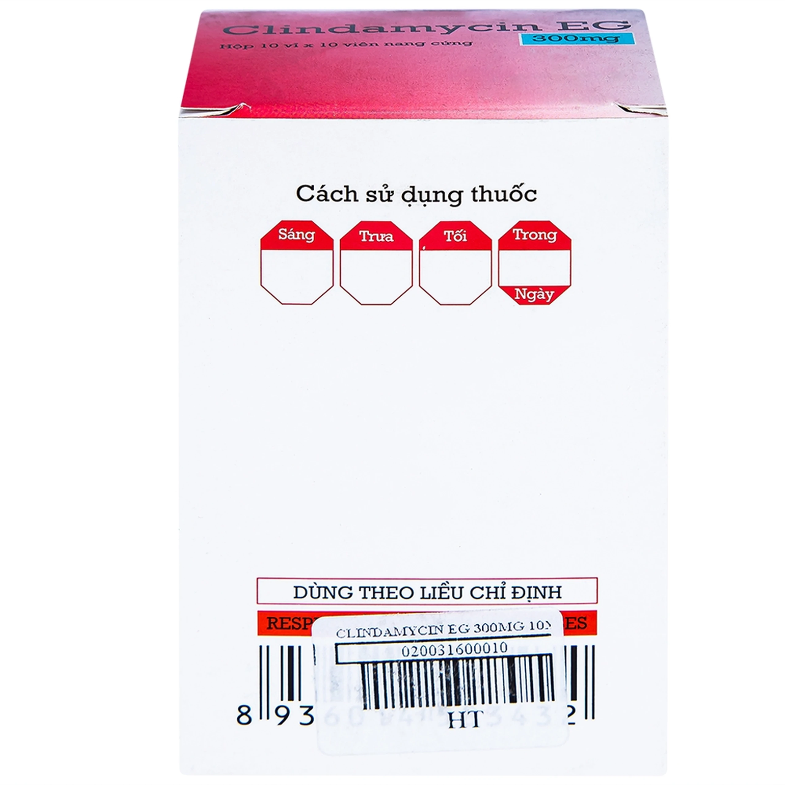 Thuốc Clindamycin EG 300mg Pymepharco điều trị các bệnh nhiễm khuẩn (10 vỉ x 10 viên)