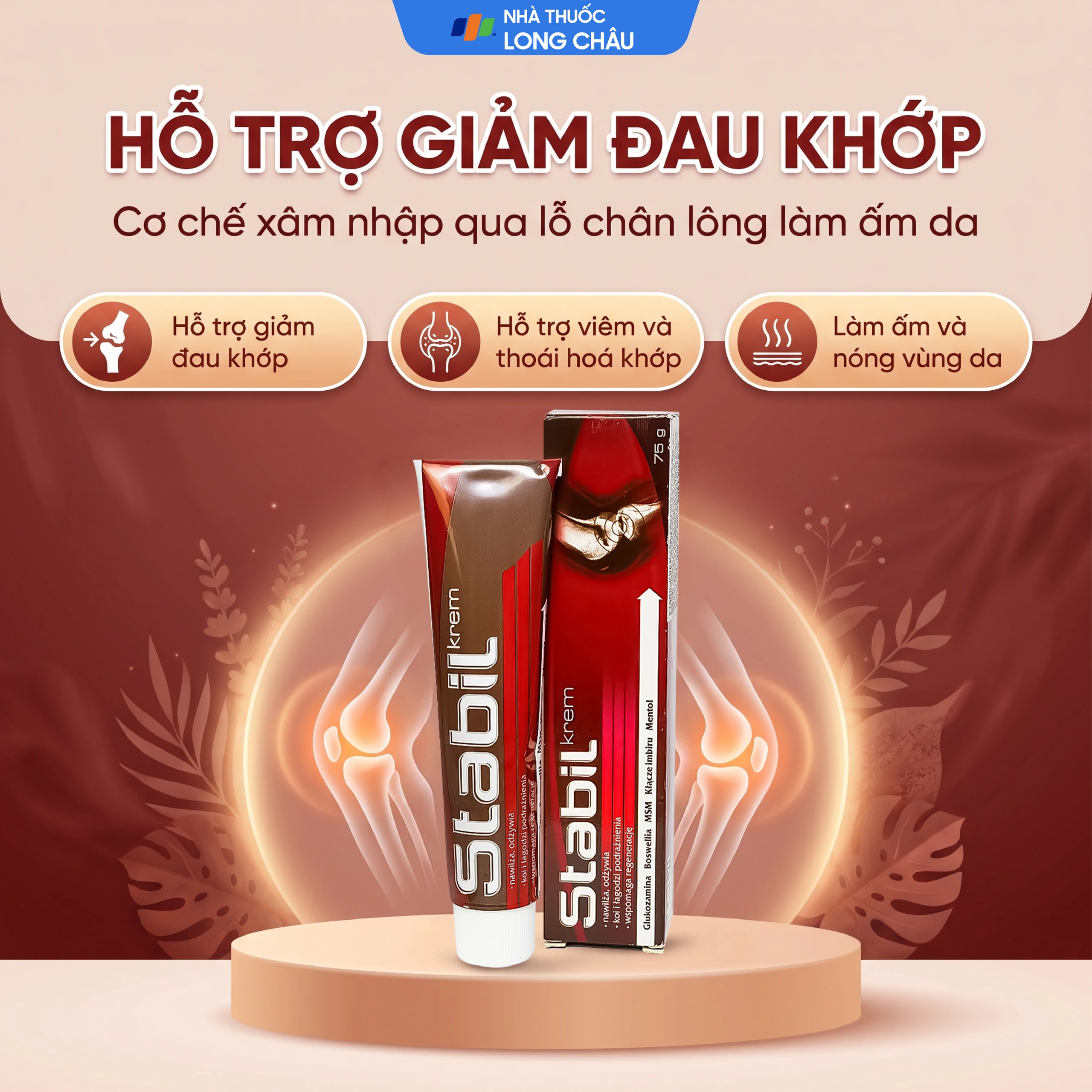 Kem bôi Stabil Krem Aflofarm vùng khớp giảm đau, kháng viêm (75g) 2