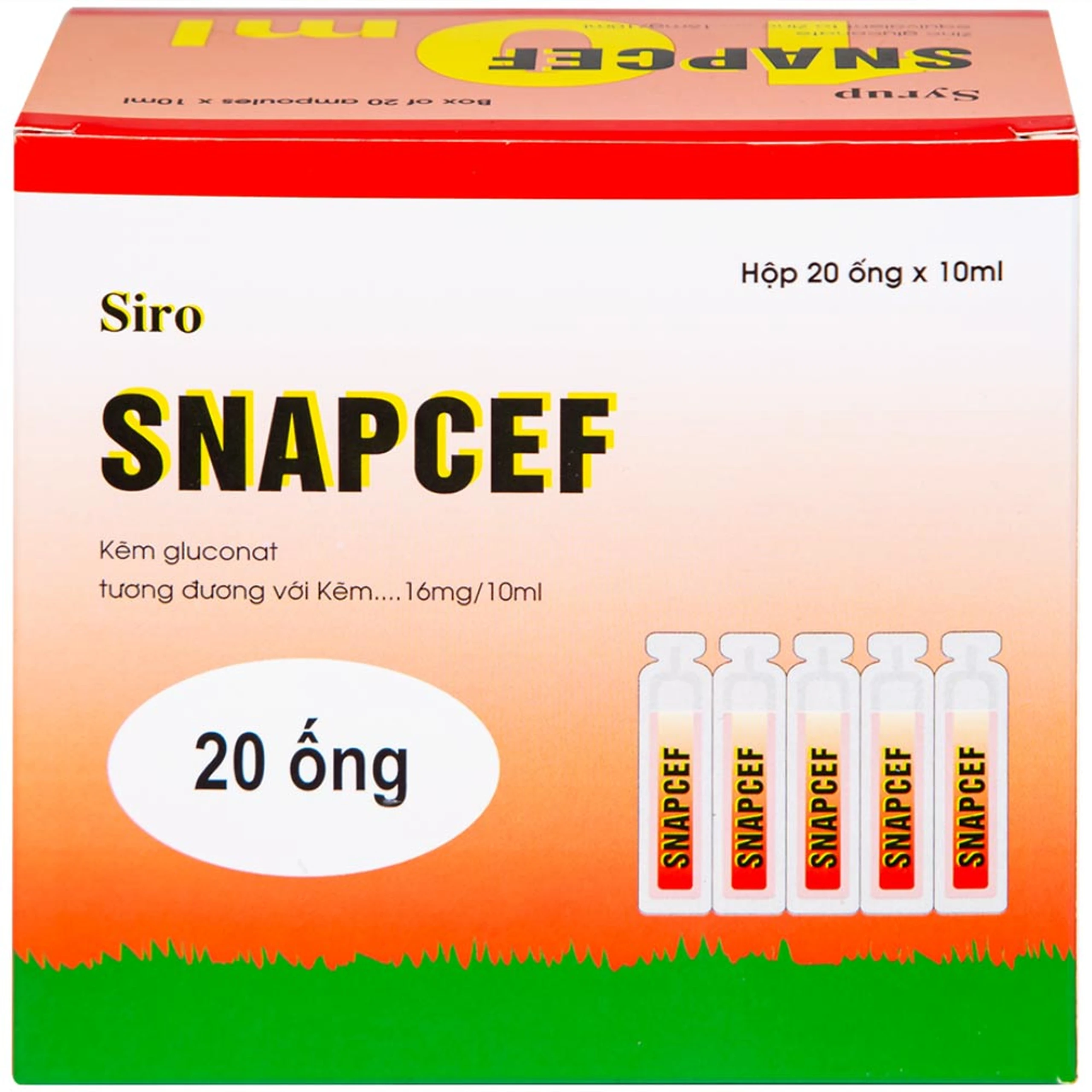 Siro Snapcef 16mg/10ml Hải Dương bổ sung kẽm, tăng cường sức đề kháng (20 ống x 10ml) 