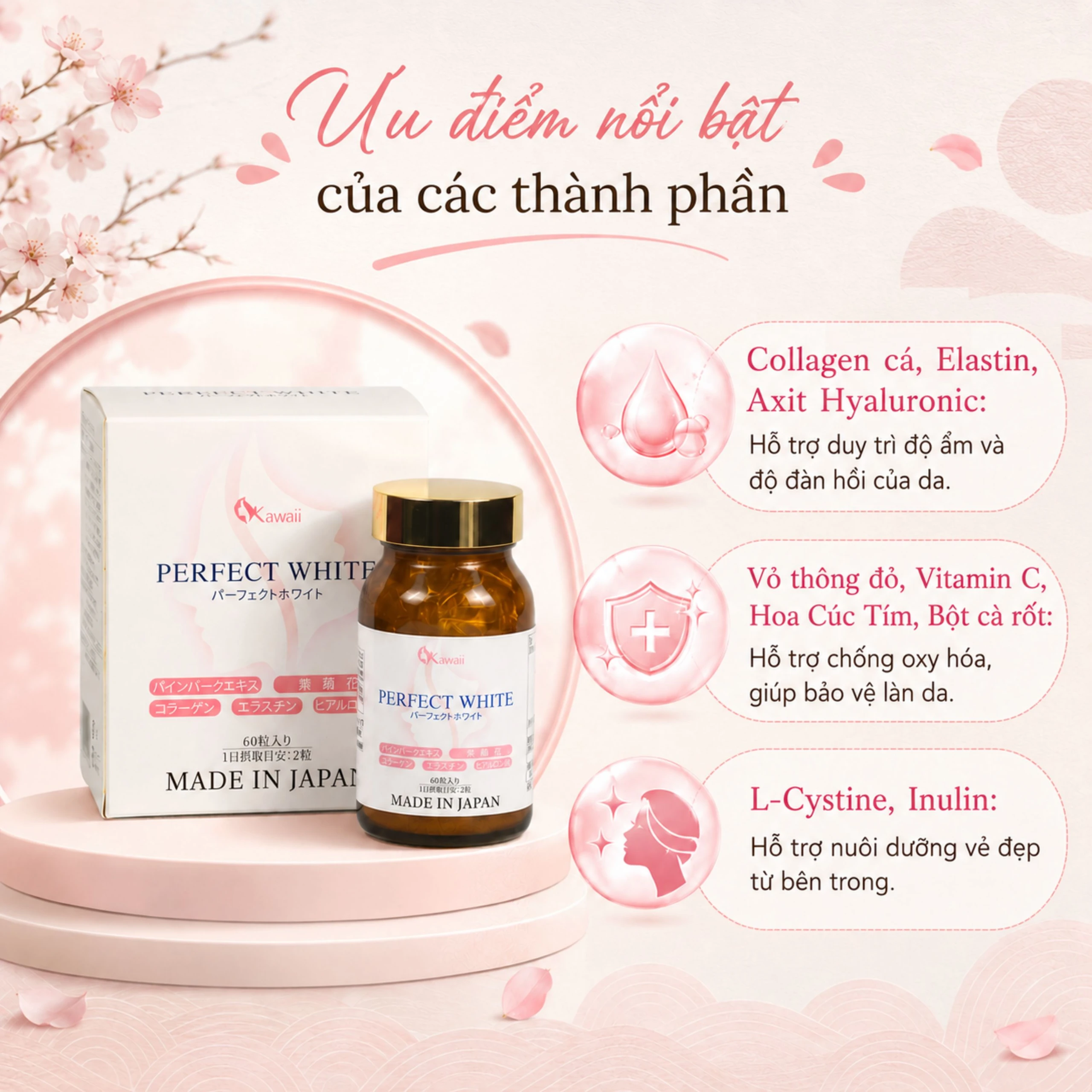 Viên uống hỗ trợ làm đẹp da, giúp da trắng sáng, cải thiện thâm nám, hạn chế lão hóa da Perfect White Jpanwell (60 viên) 3